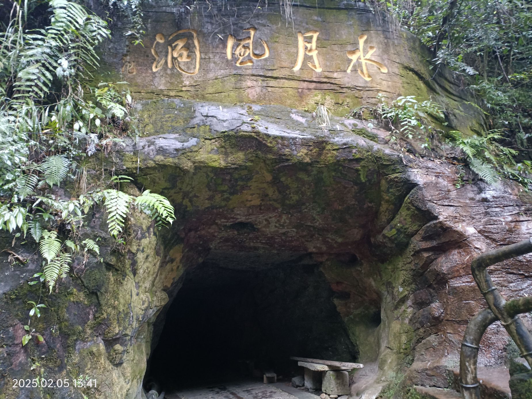 沐川竹海景区旅行图片 2