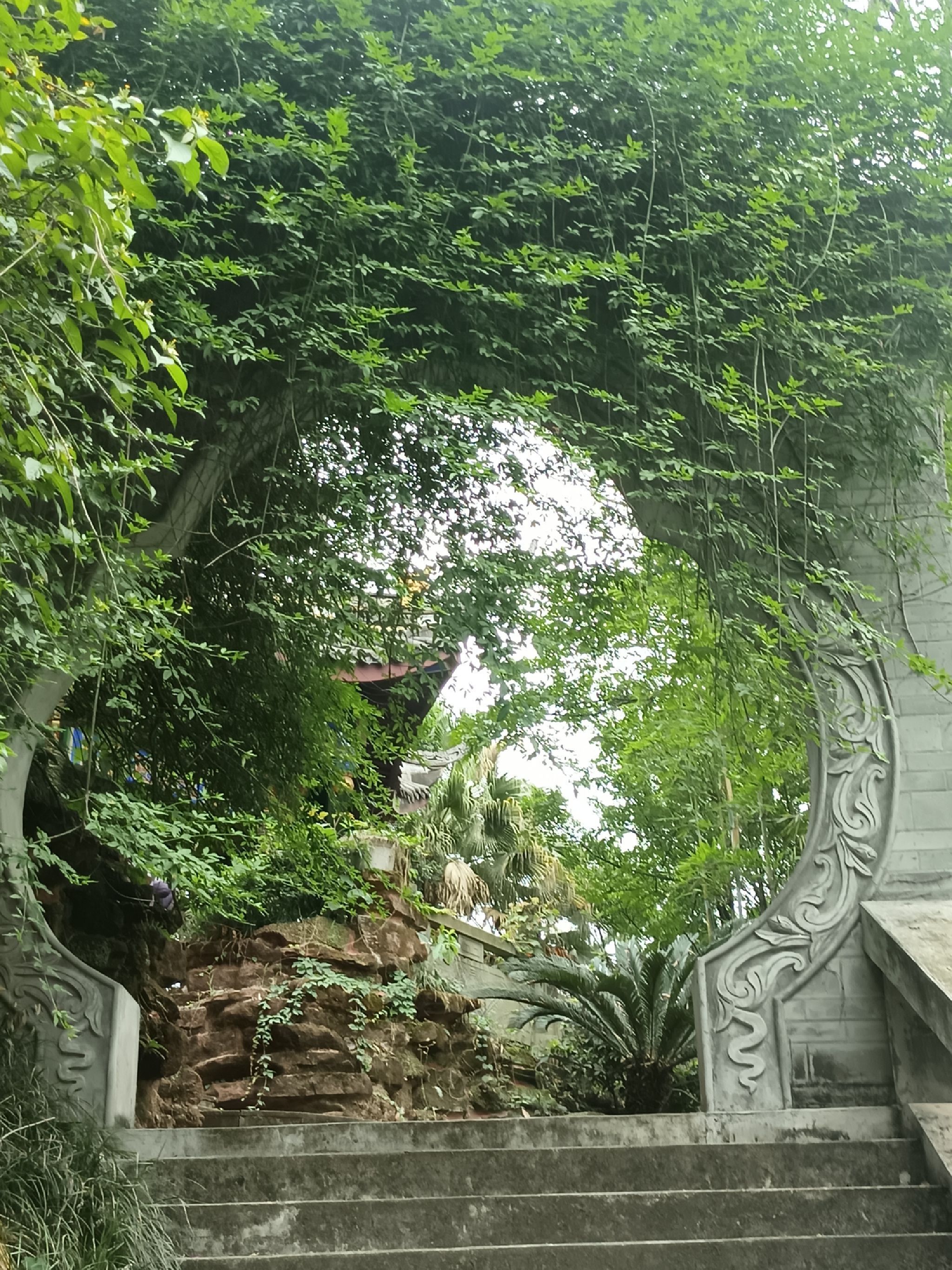 紫霞宫旅行图片 1