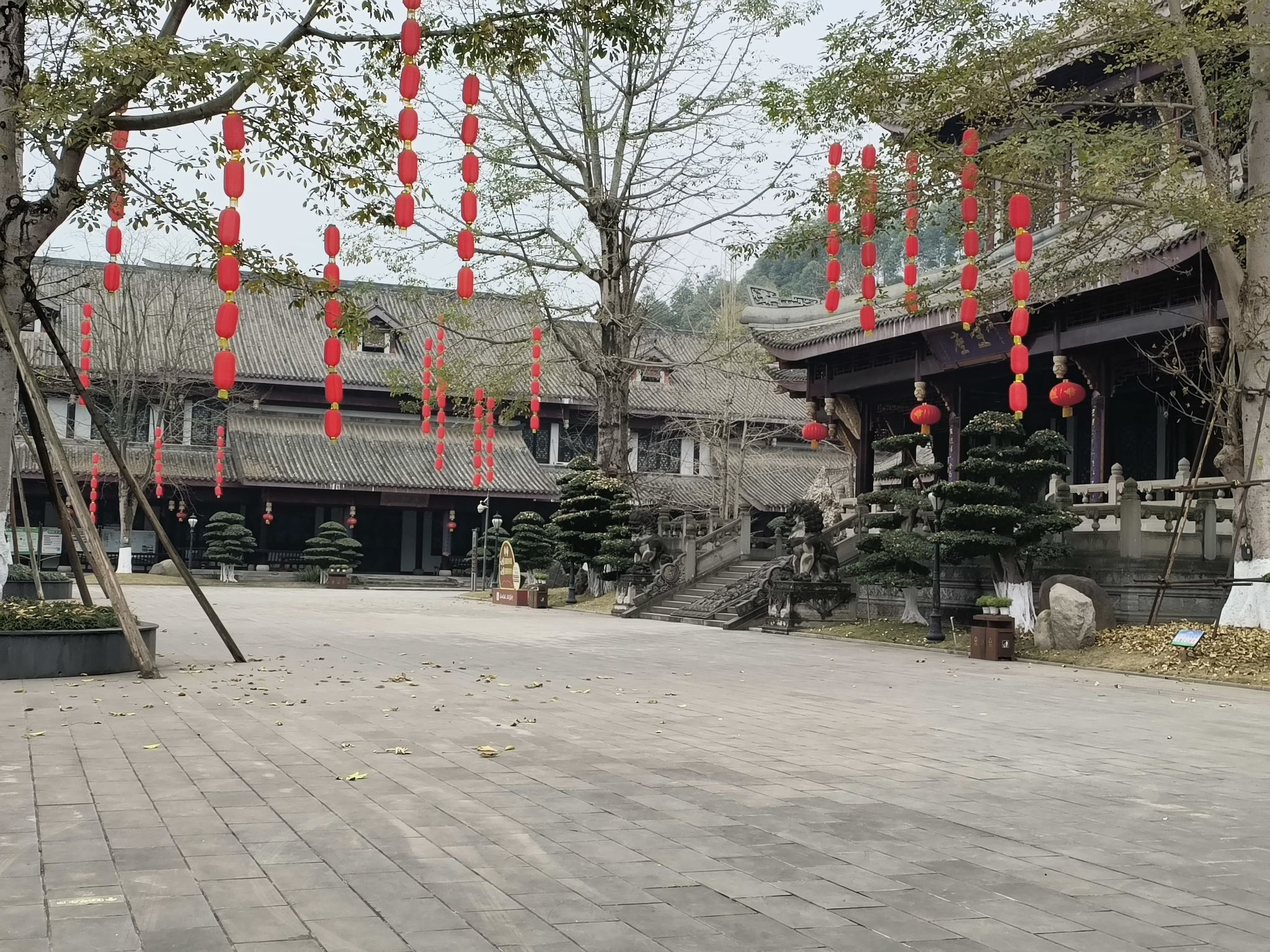 乌木珍品文化博物苑旅行图片 2
