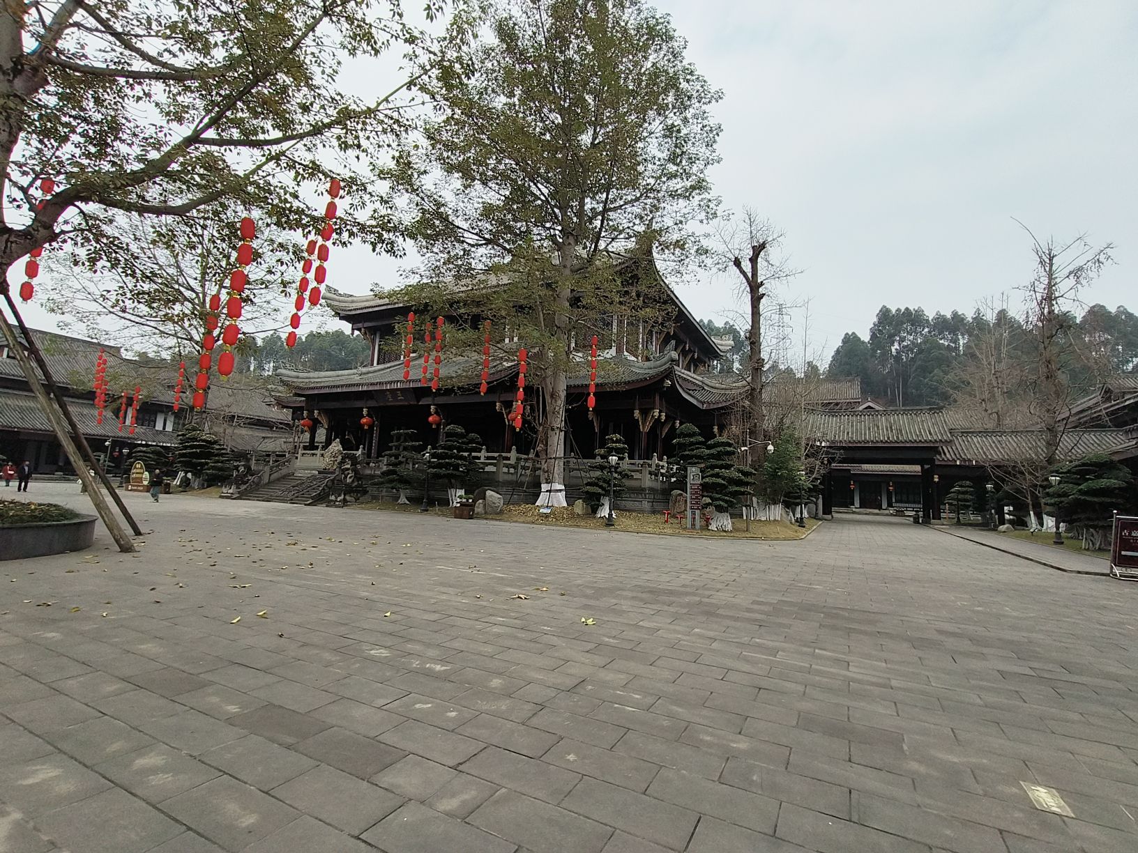 乌木珍品文化博物苑旅行图片 1