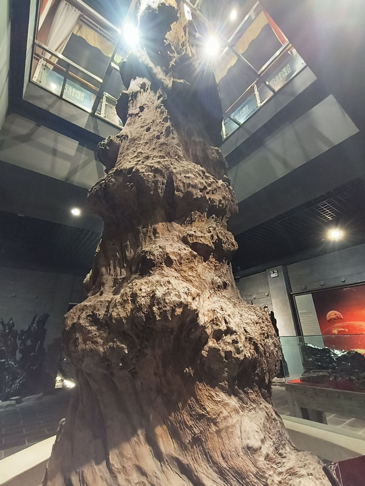 乌木珍品文化博物苑旅行图片 3