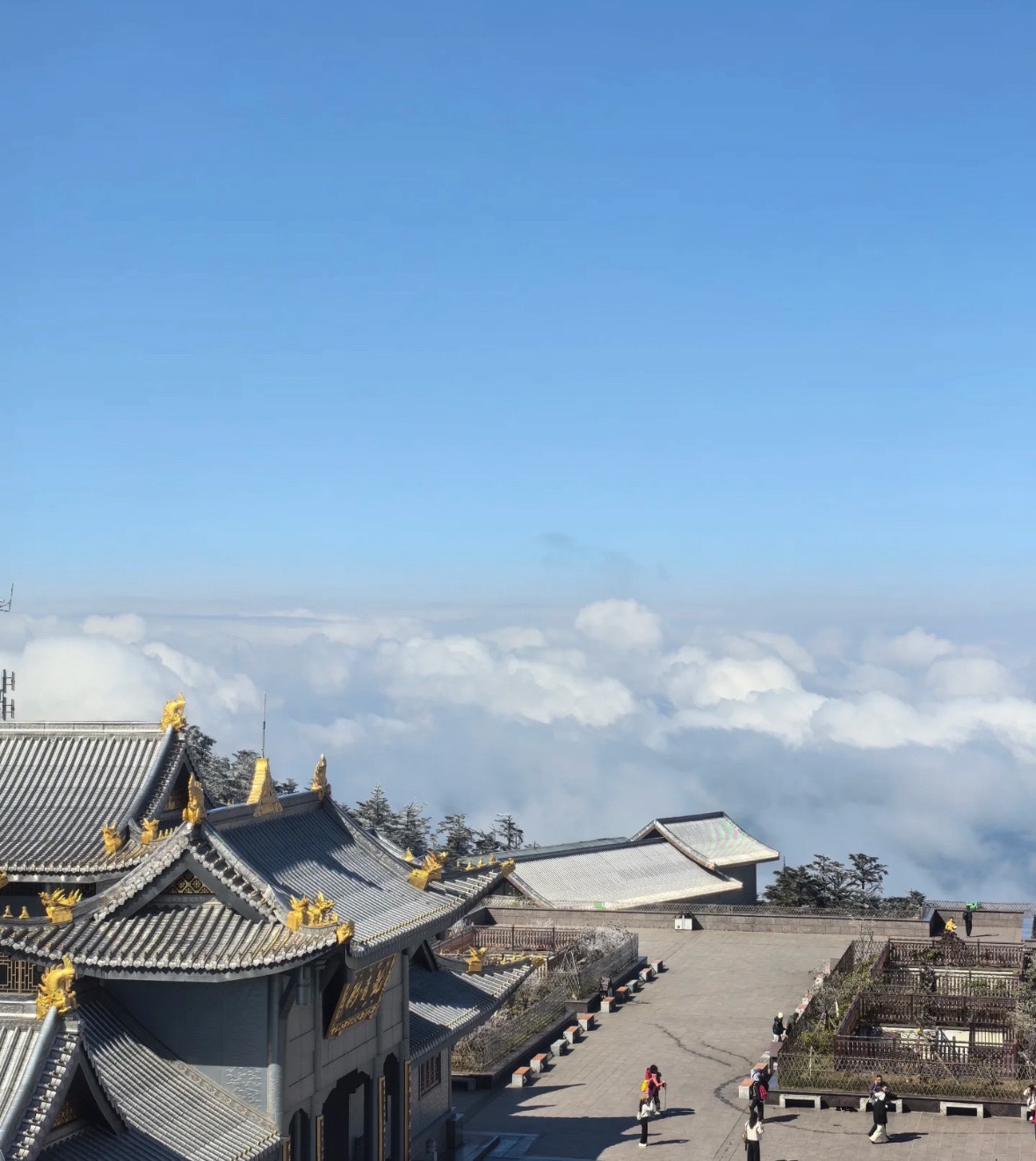 峨眉山旅行图片 2