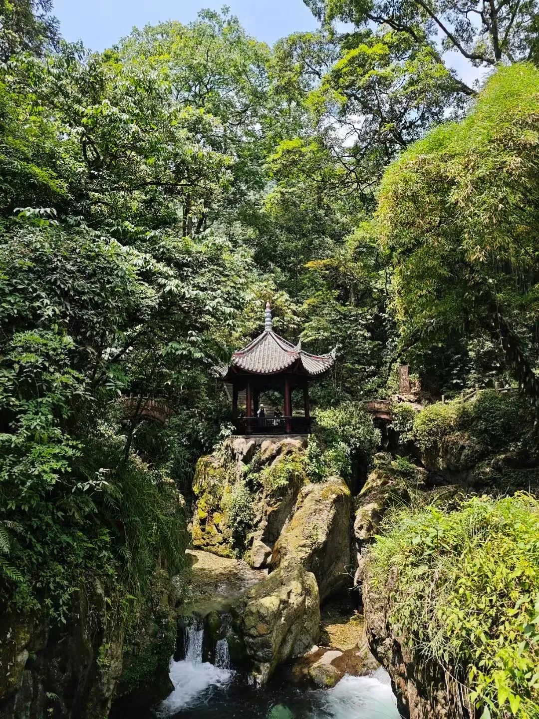 峨眉山旅行图片 3