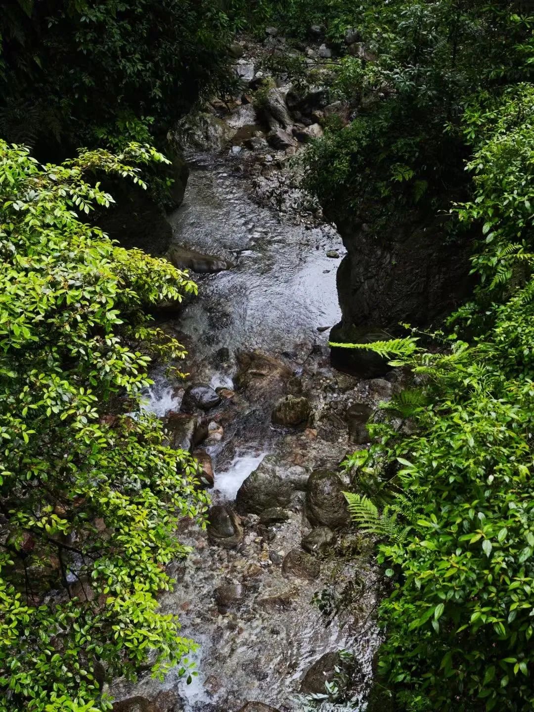 峨眉山旅行图片 1