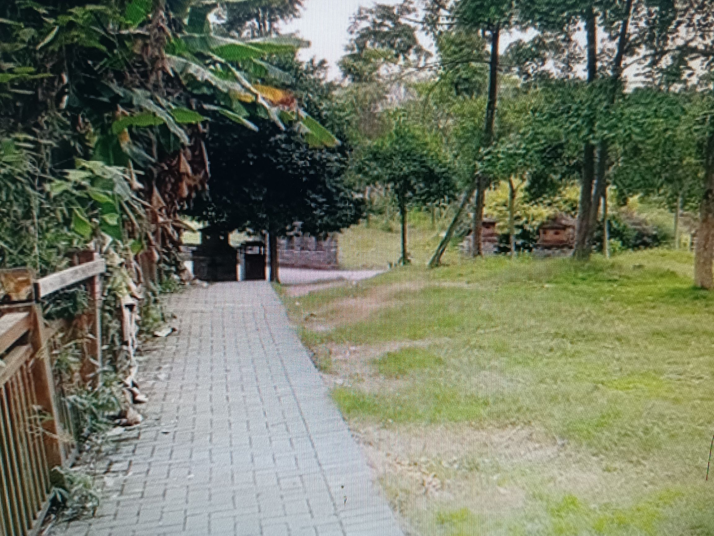 五洲汉唐公园旅行图片 2
