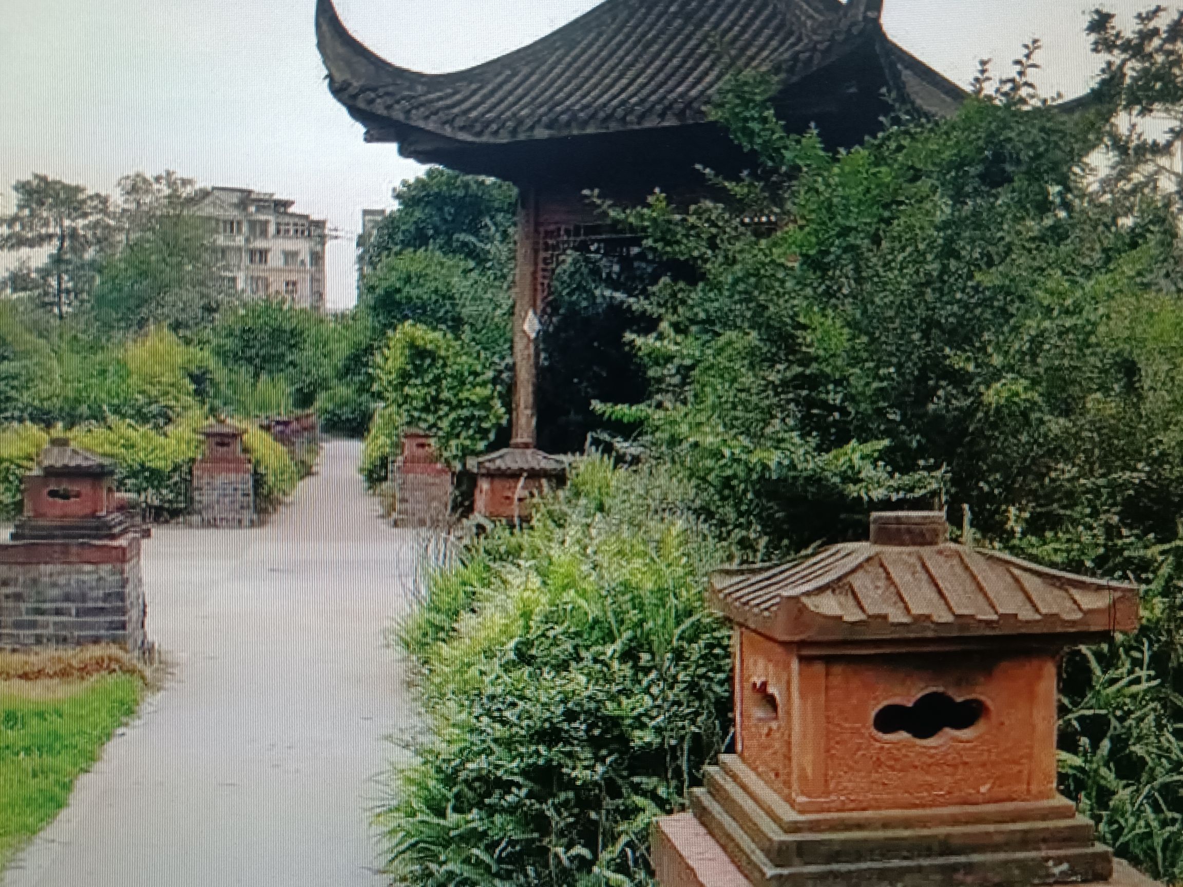 五洲汉唐公园旅行图片 1