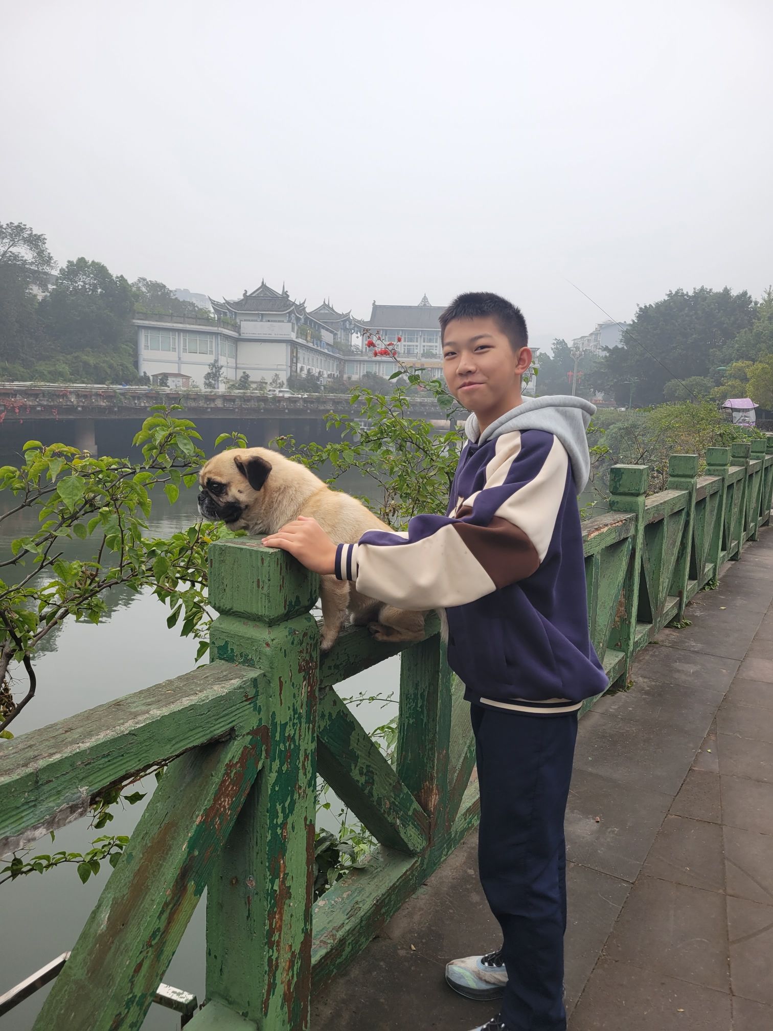 桃源山居旅行图片 2