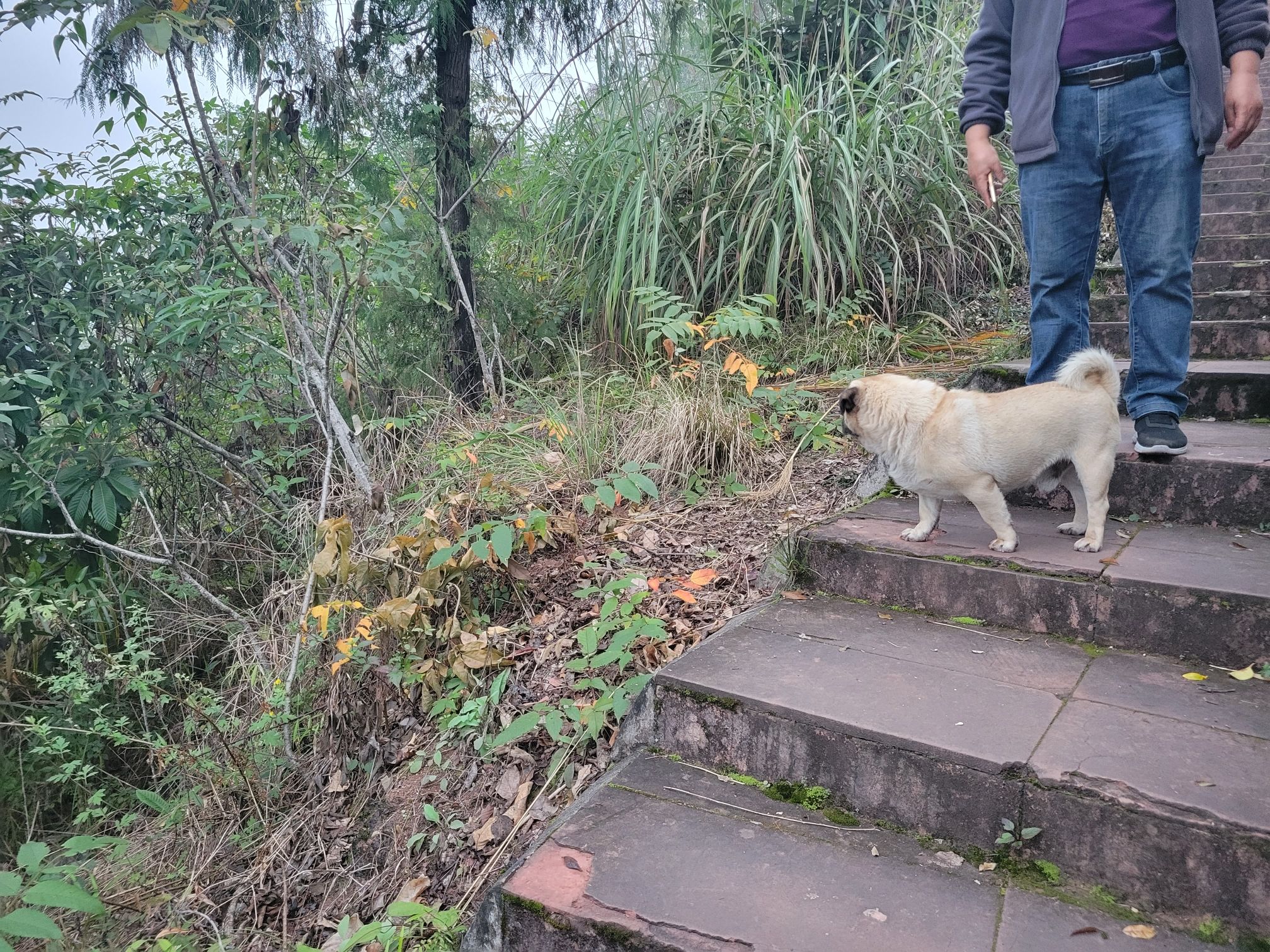 桃源山居旅行图片 3