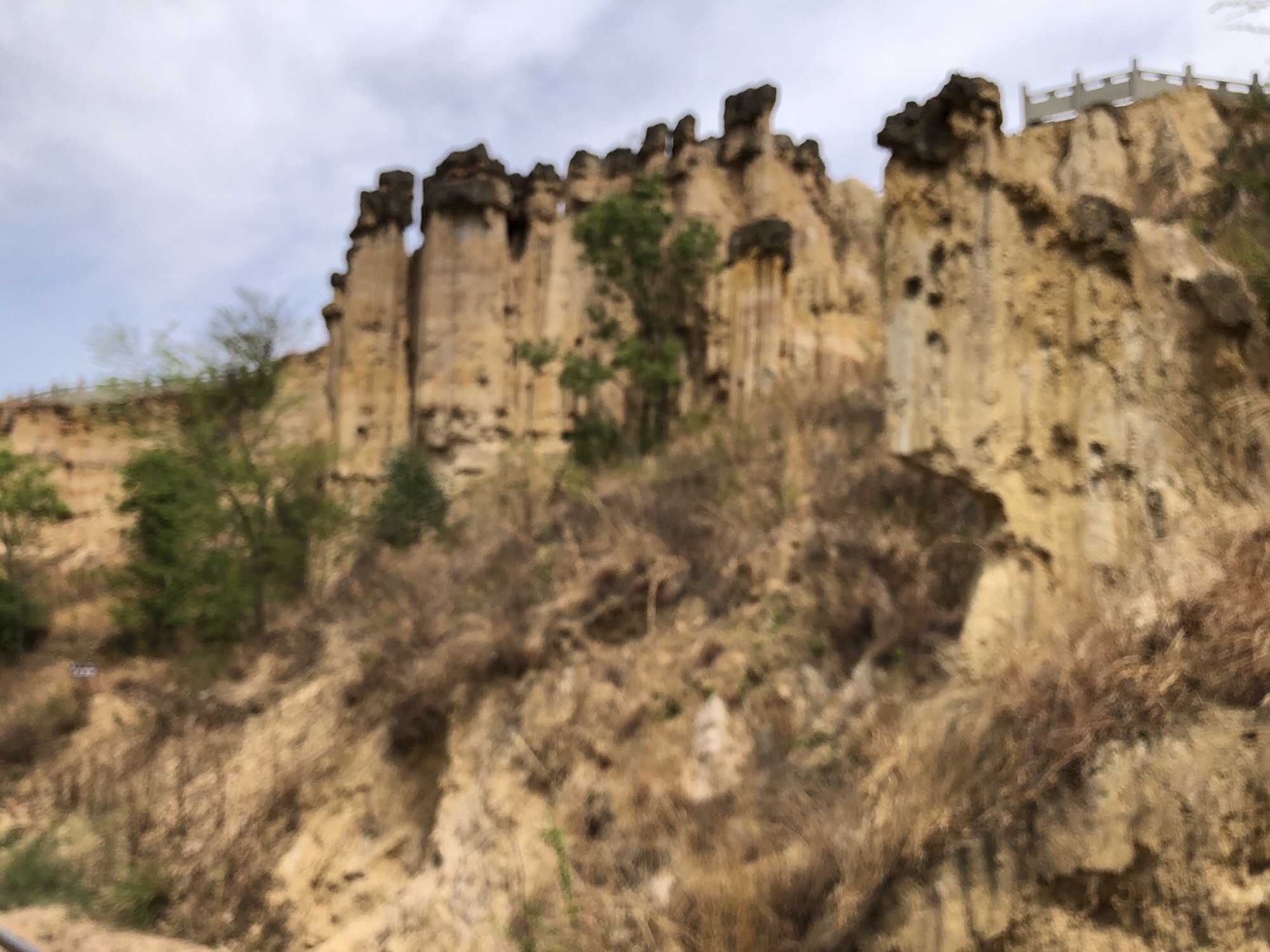 土林旅行图片 3