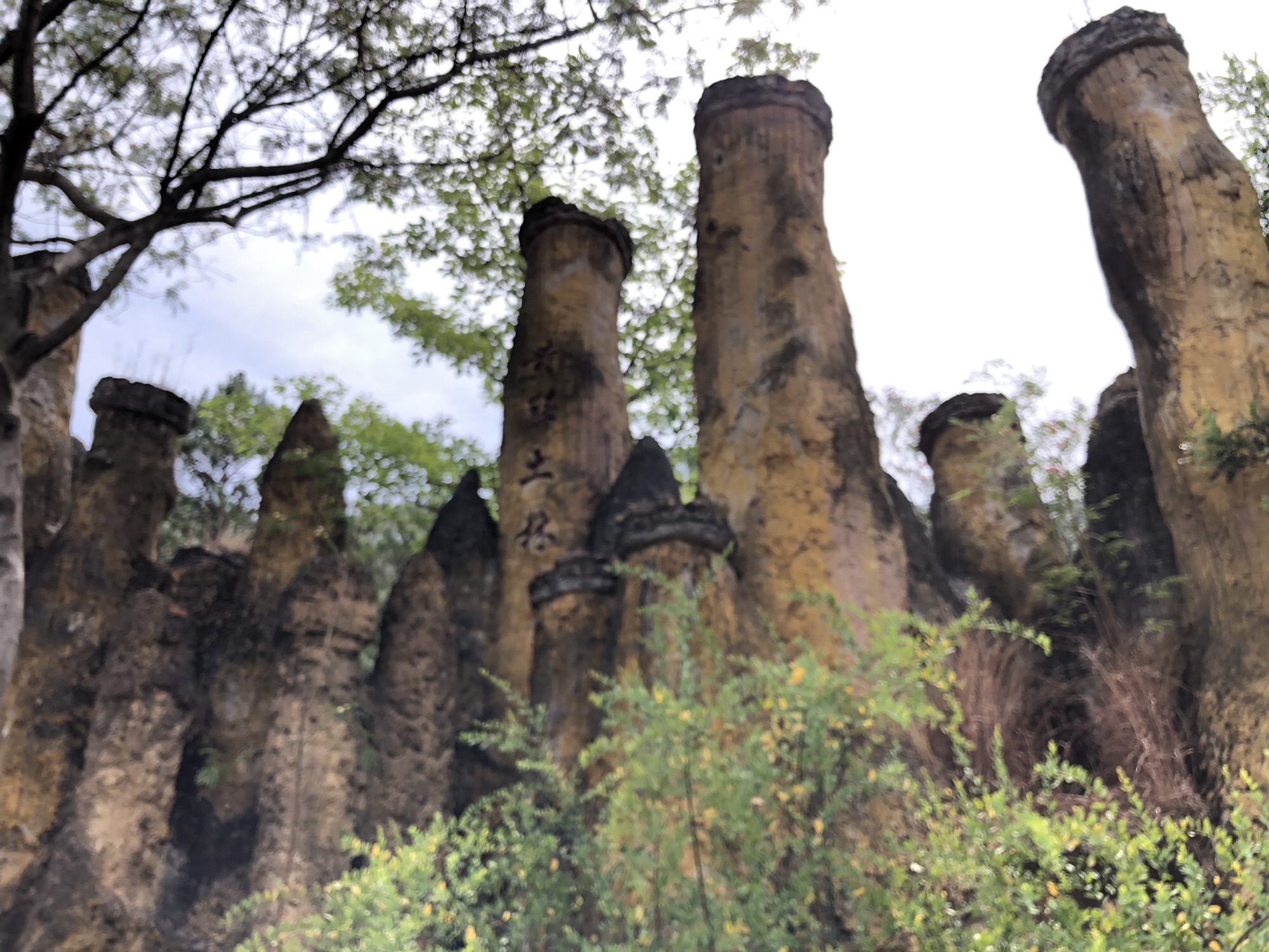 土林旅行图片 2