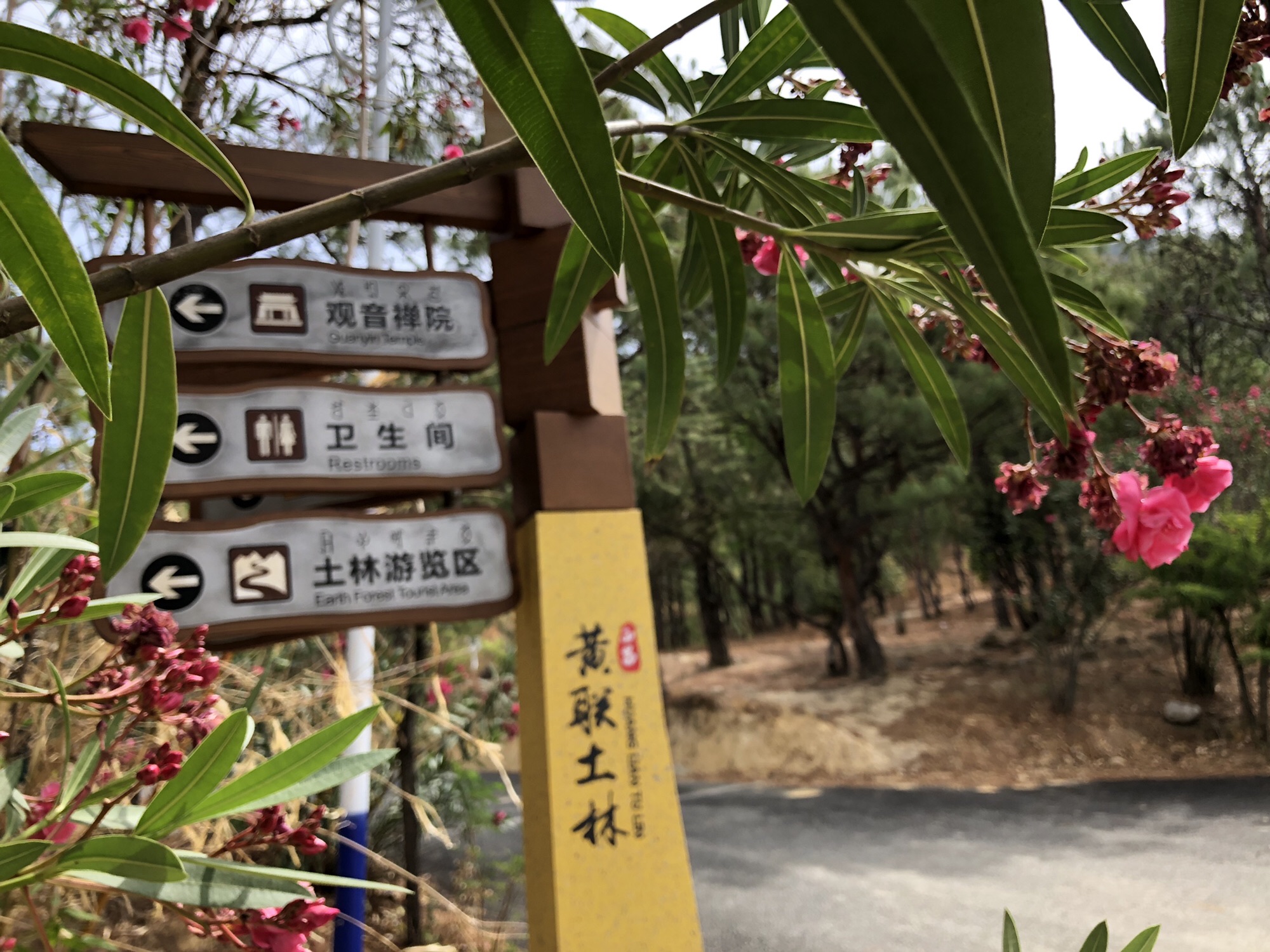 土林旅行图片 1