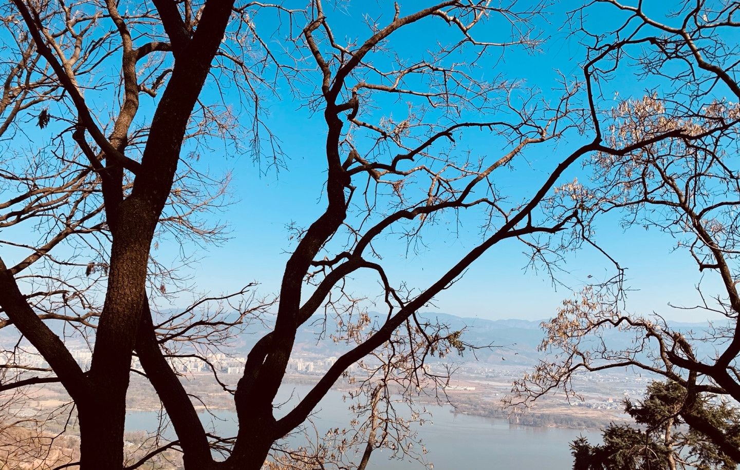 泸山森林公园