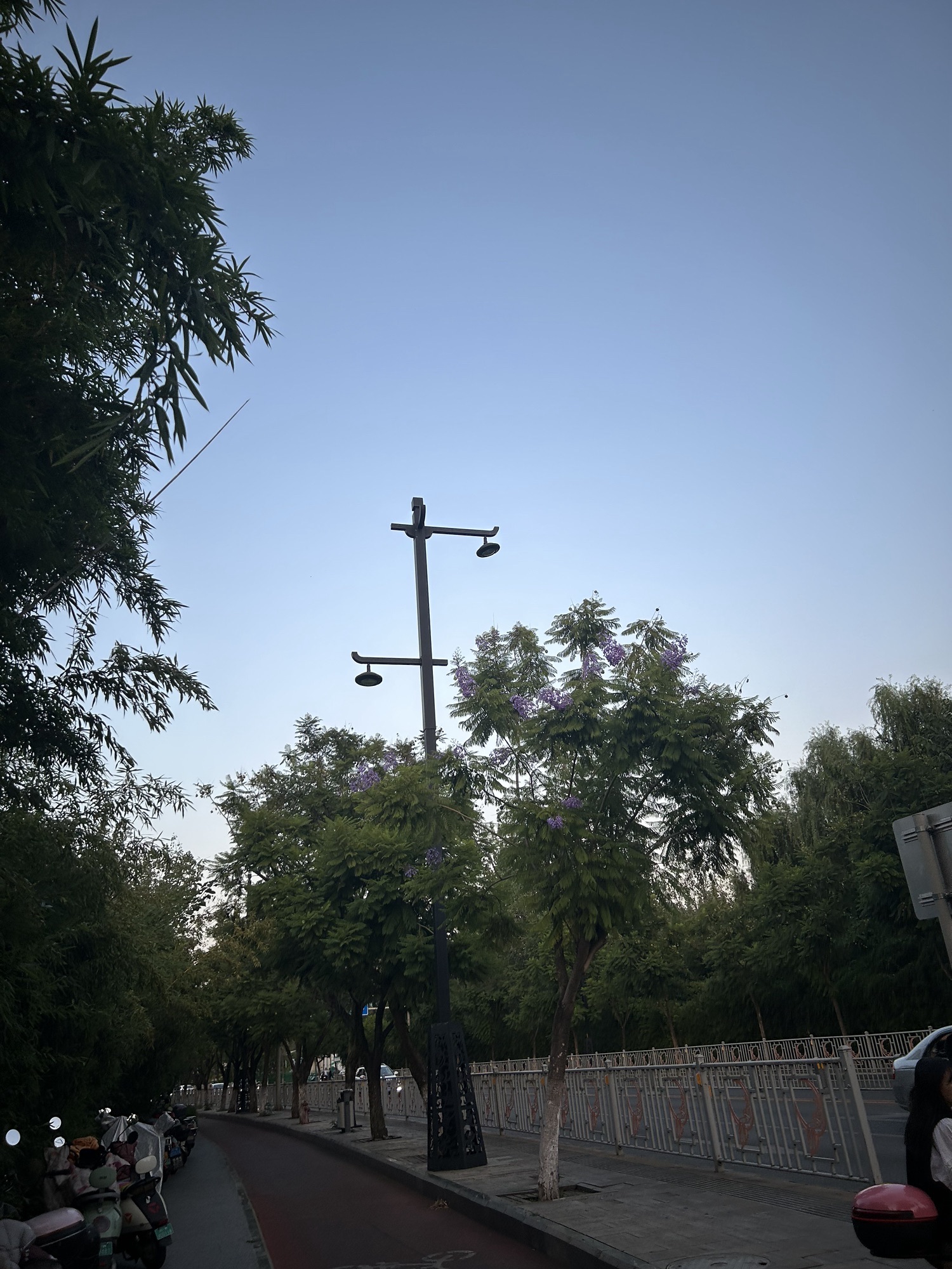 火把广场旅行图片 3