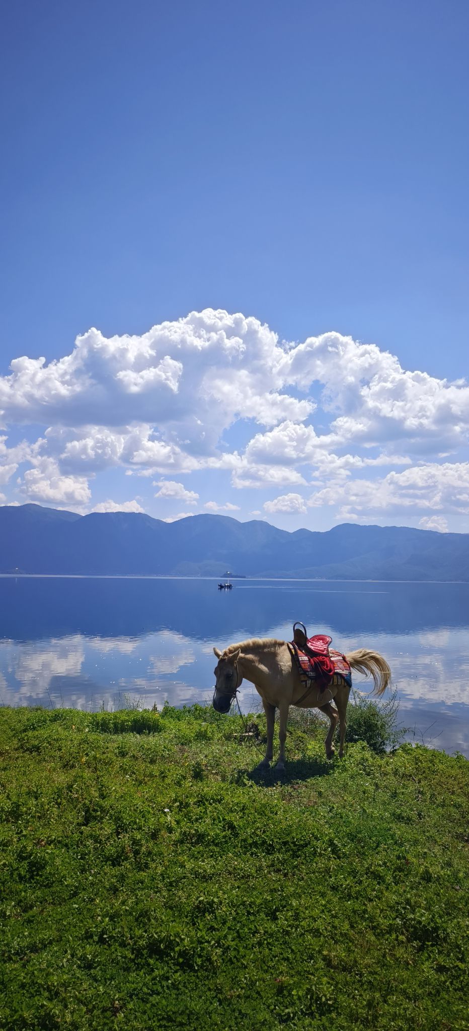 达祖码头旅行图片 1
