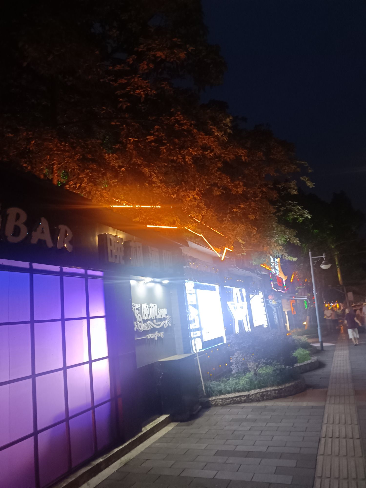 沿江公园旅行图片 1