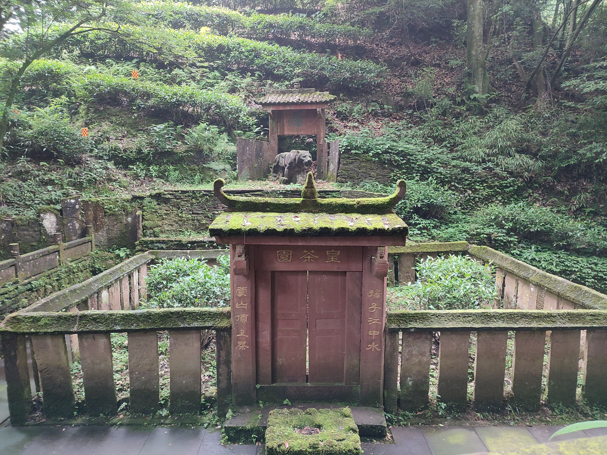蒙顶山旅行图片 2