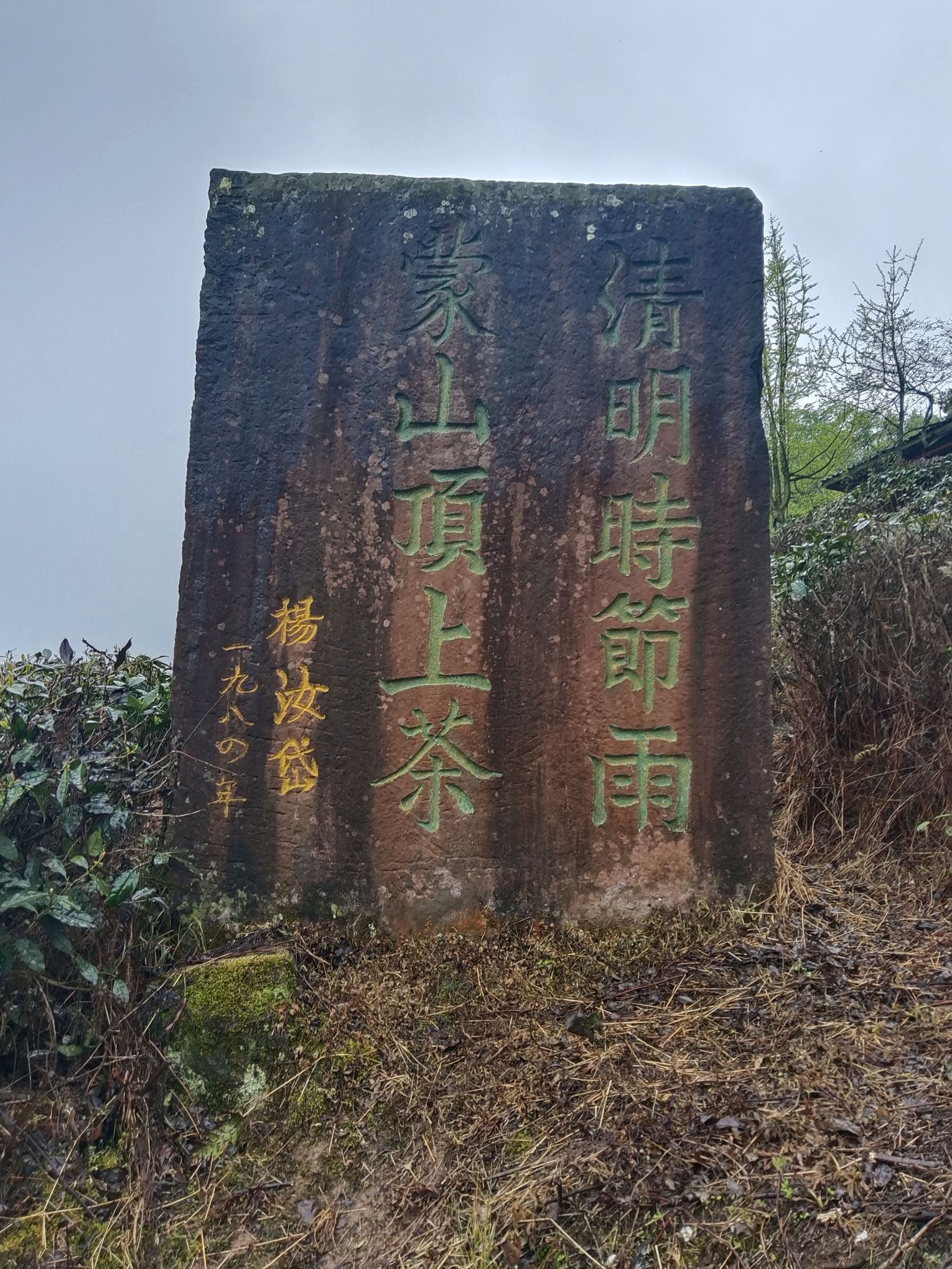 蒙顶山旅行图片 3
