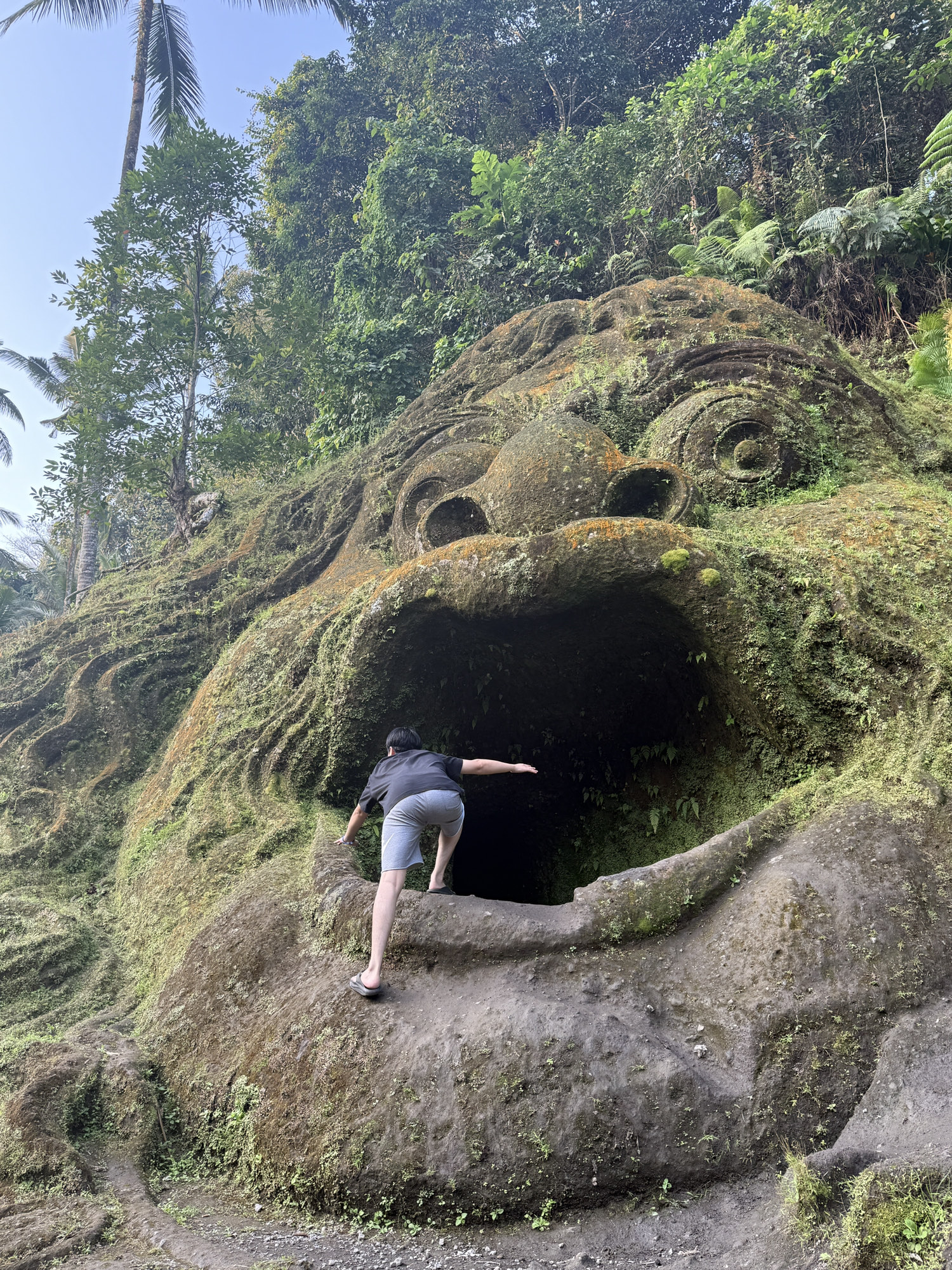 蒙顶山旅行图片 2