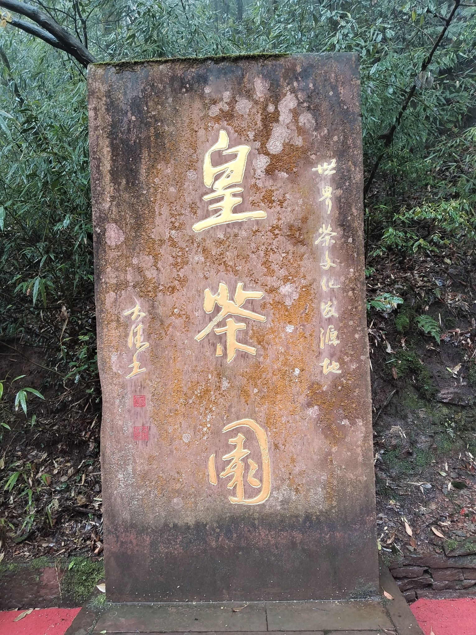 蒙顶山旅行图片 1