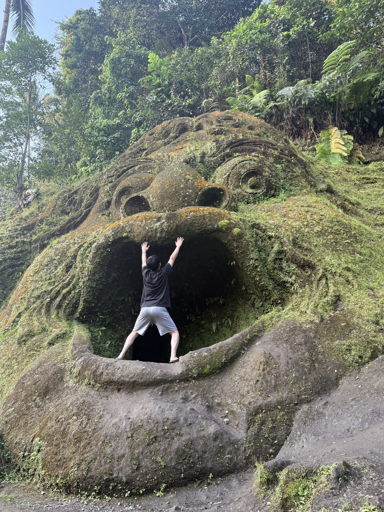 蒙顶山旅行图片 1