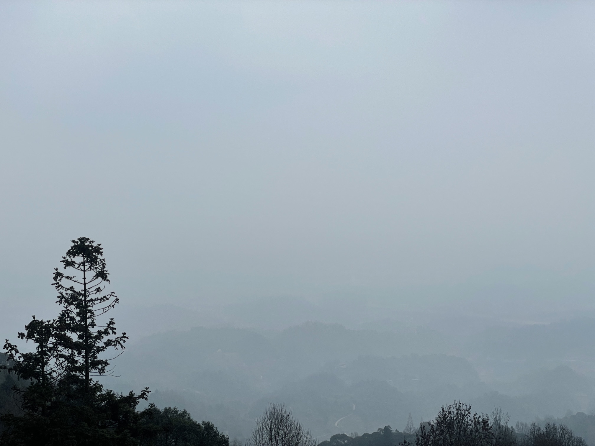 蒙顶山旅行图片 1