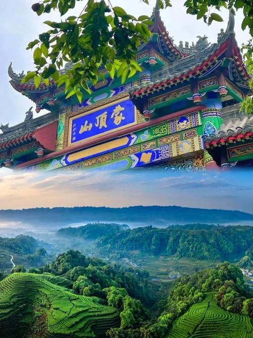 蒙顶山旅行图片 1