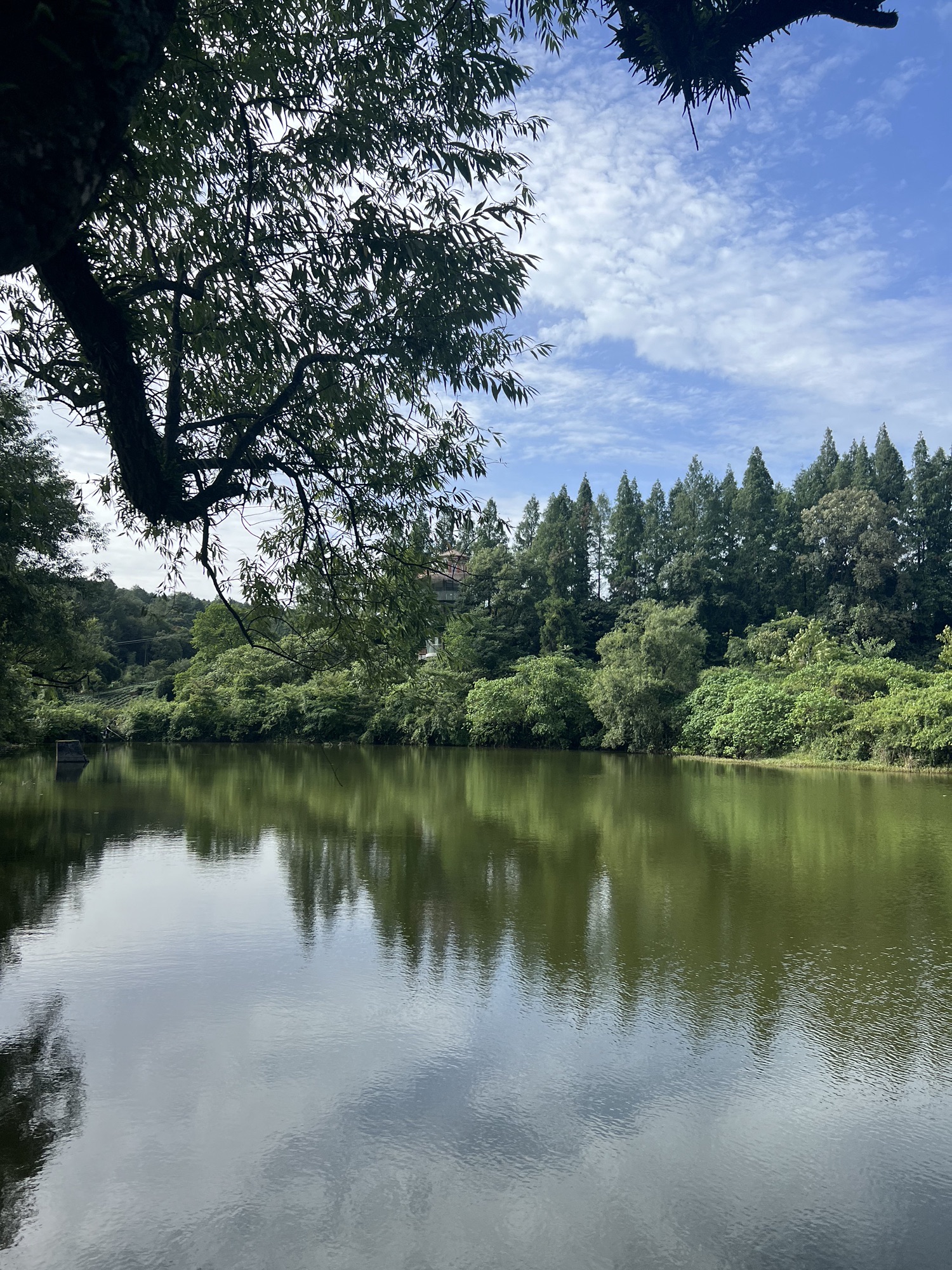 清漪湖旅游风景区旅行图片 1