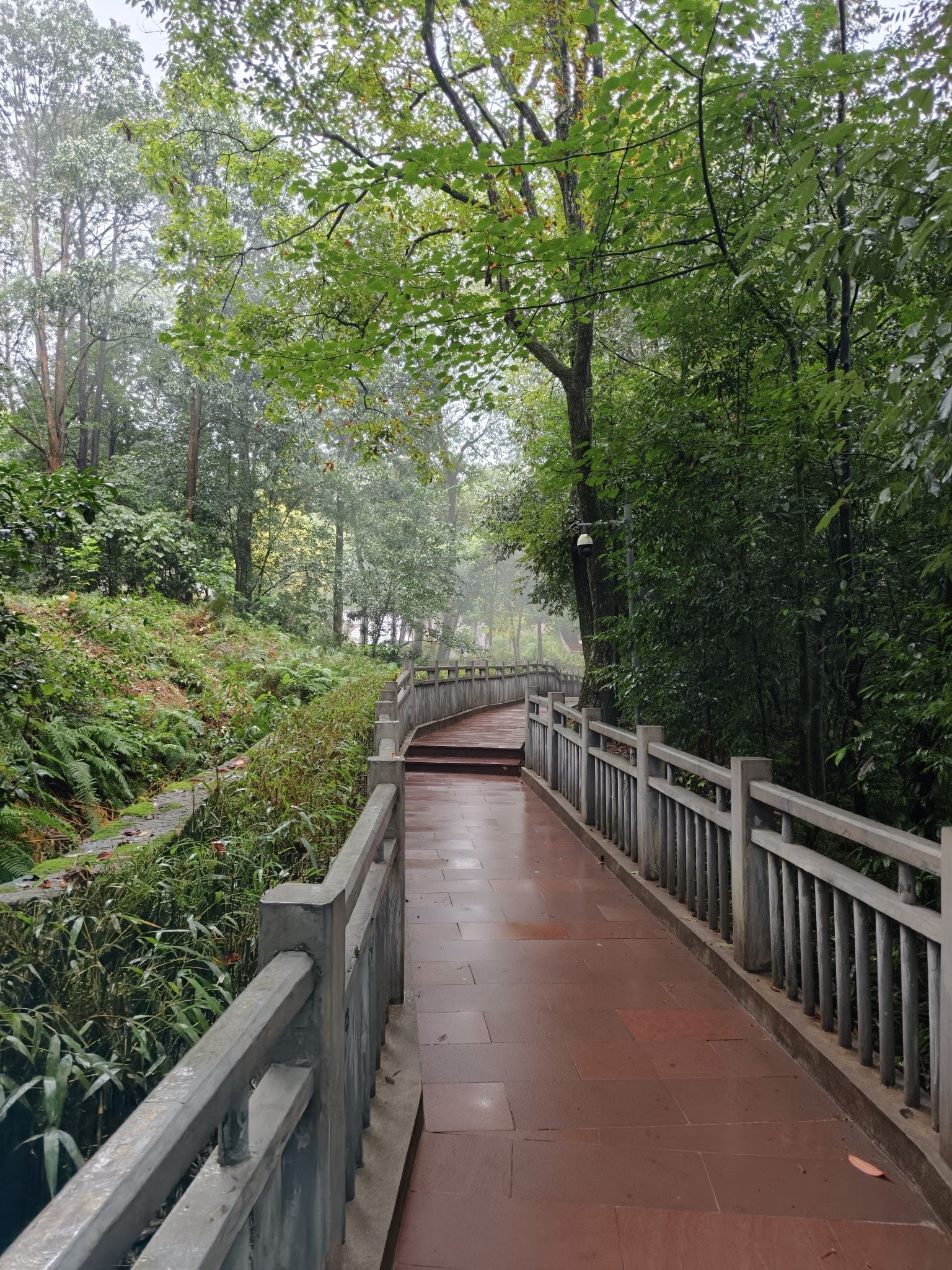 碧峰峡风景区旅行图片 2