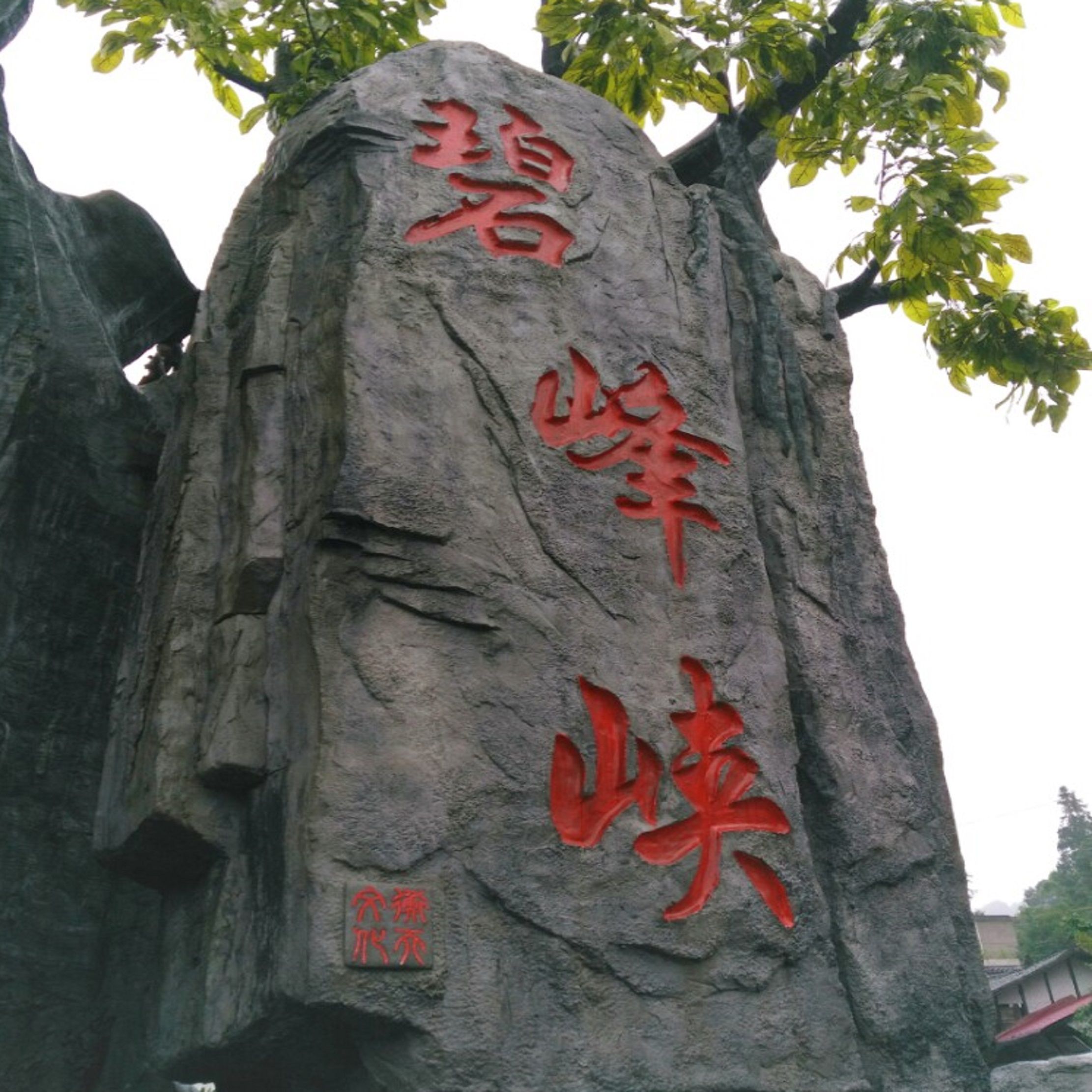 碧峰峡风景区旅行图片 1