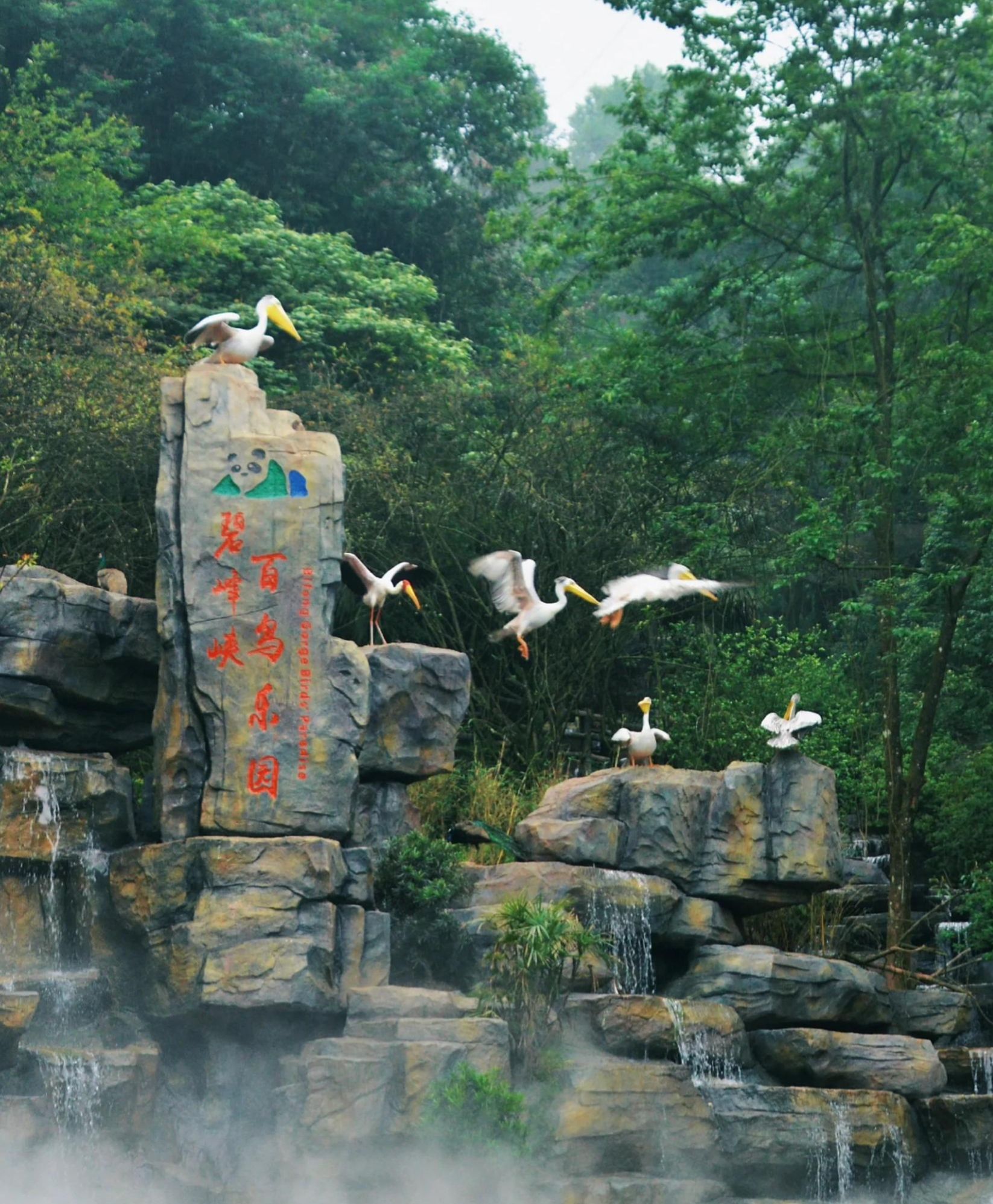 碧峰峡风景区旅行图片 3