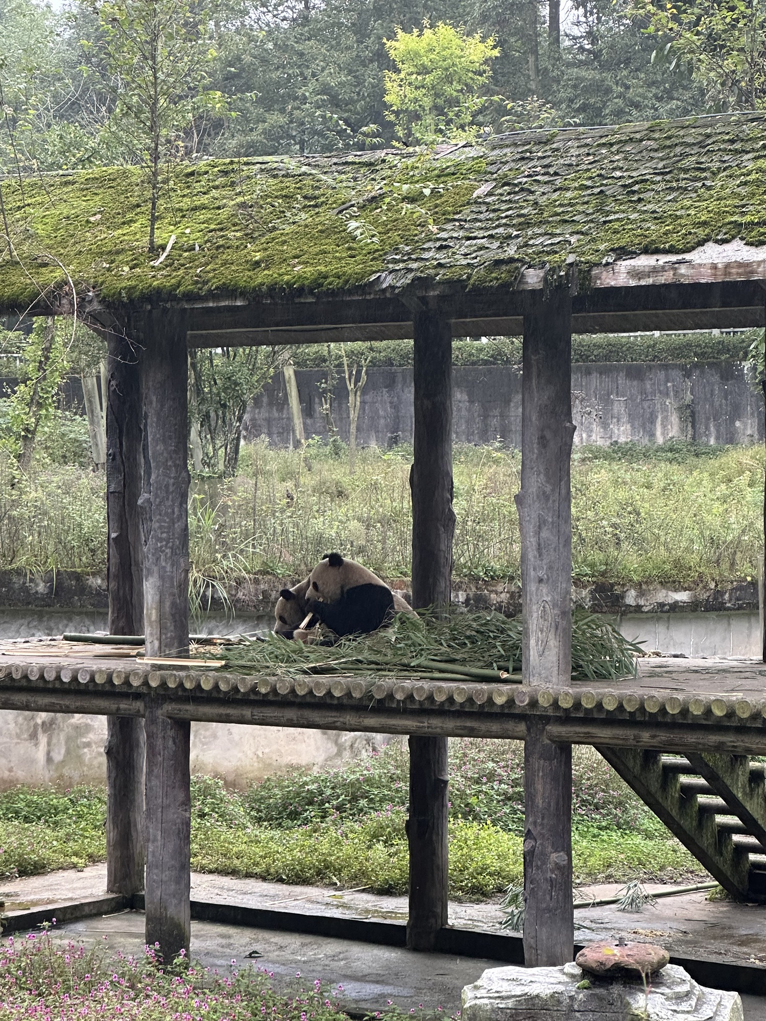 碧峰峡风景区旅行图片 1