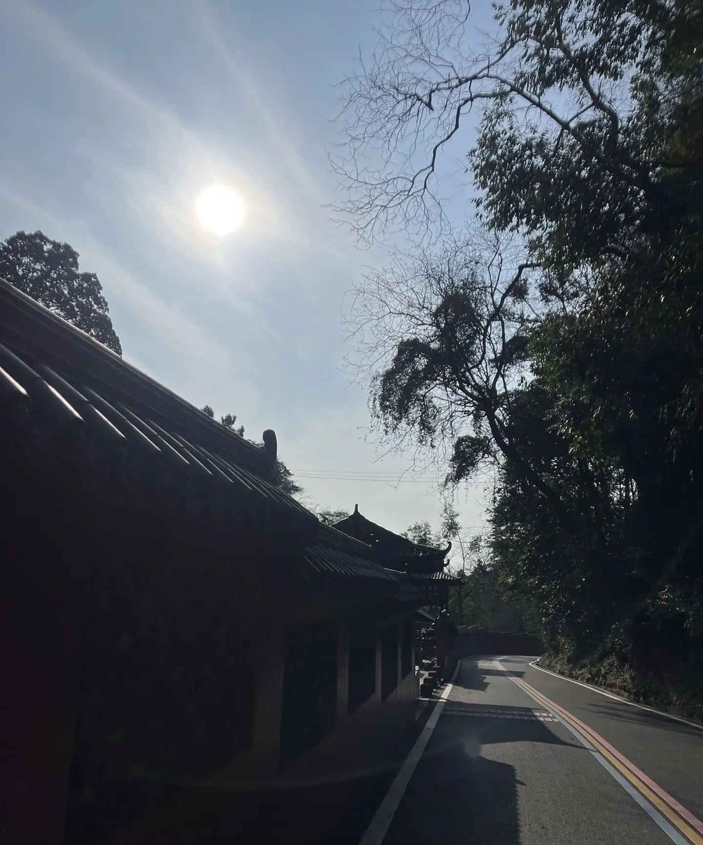金凤山公园旅行图片 1