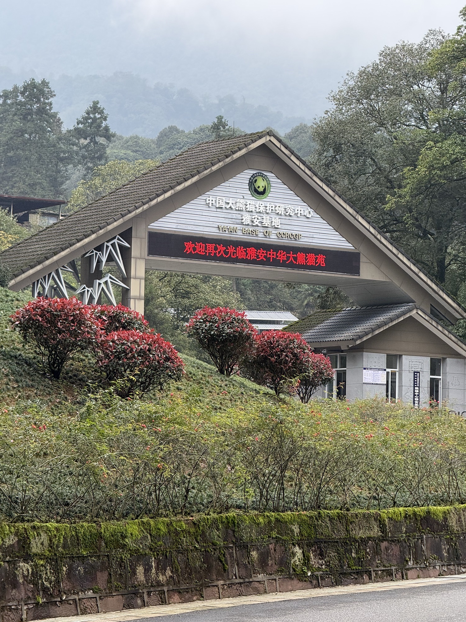 中国大熊猫保护研究中心雅安碧峰峡基地景点图片