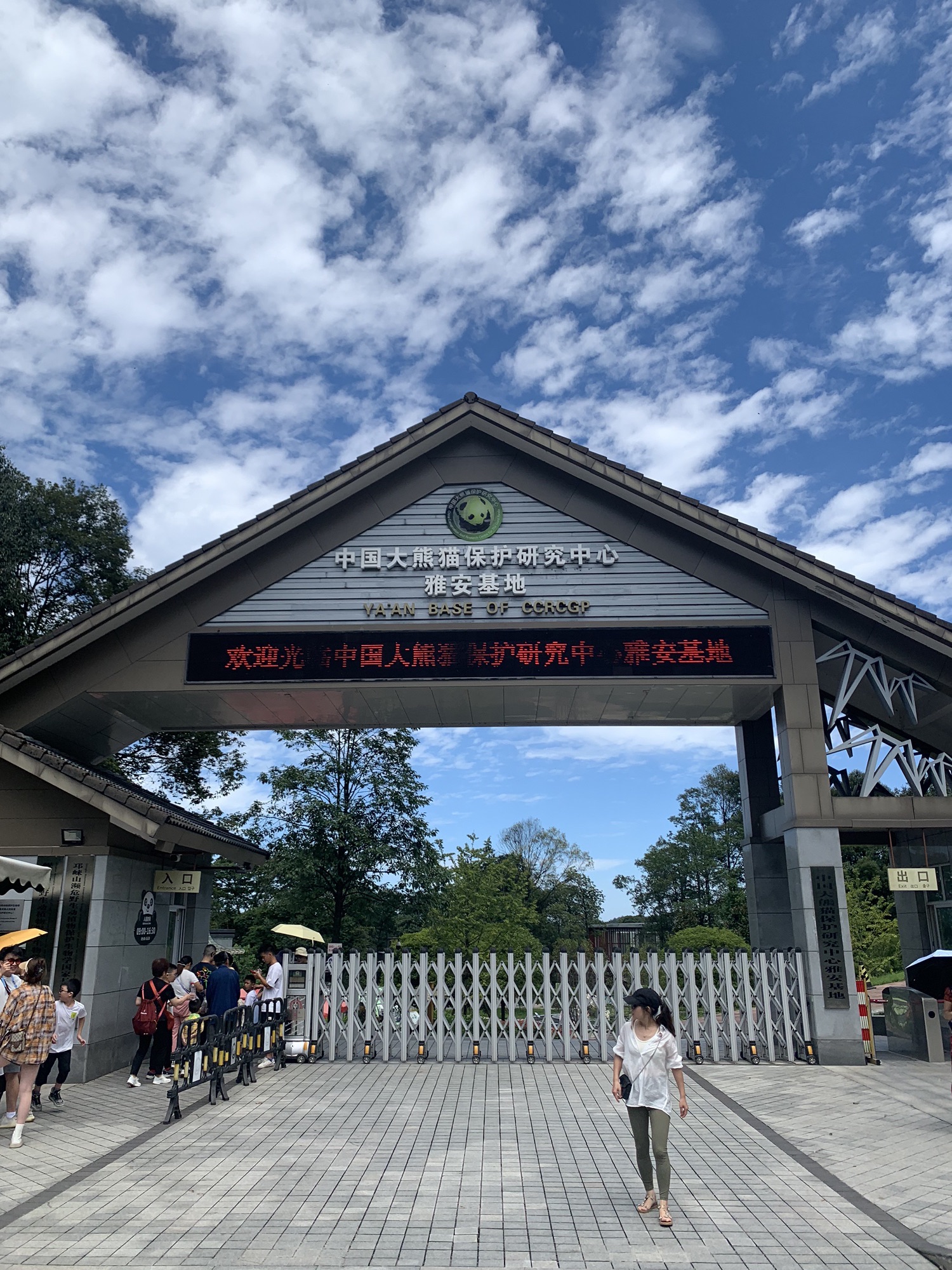 中国大熊猫保护研究中心雅安碧峰峡基地