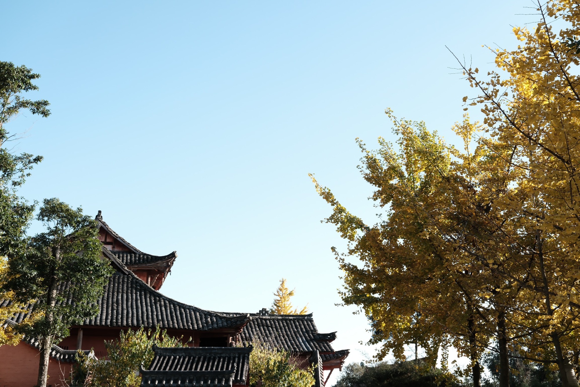 止观寺实景照片