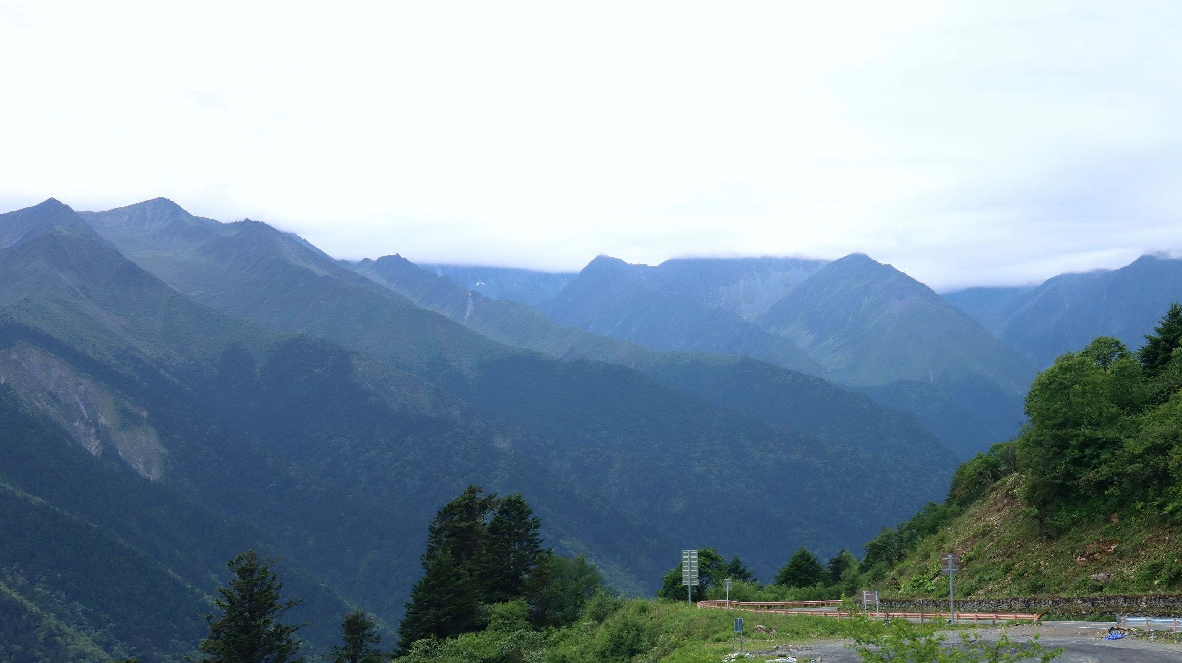 夹金山国家森林公园旅行图片 2