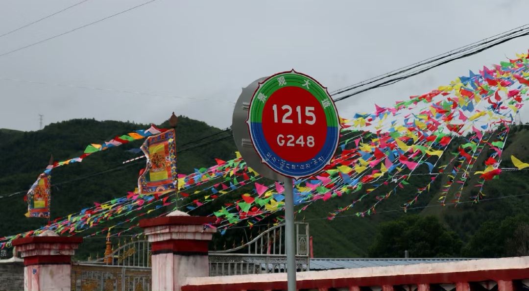 夹金山国家森林公园旅行图片 3