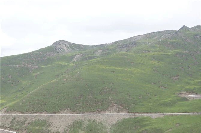 夹金山国家森林公园旅行图片 2