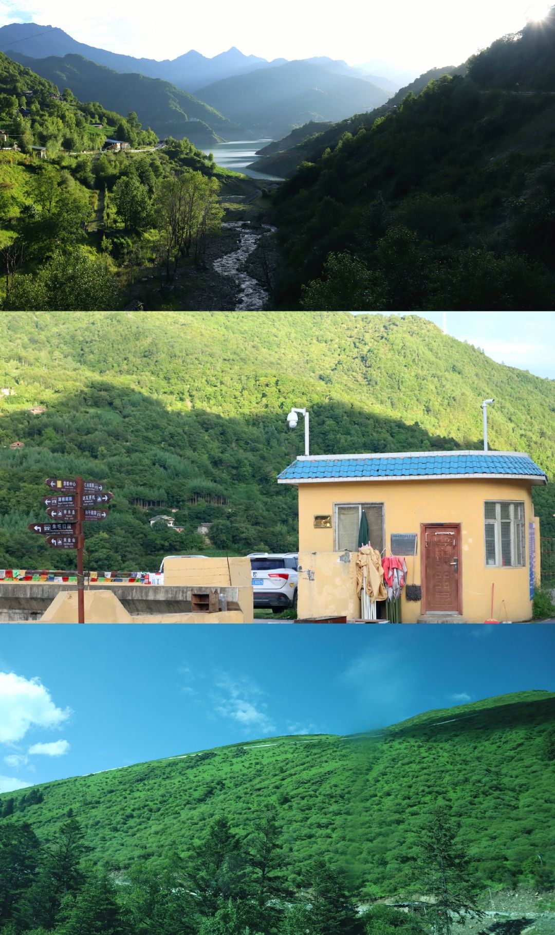 夹金山国家森林公园旅行图片 3