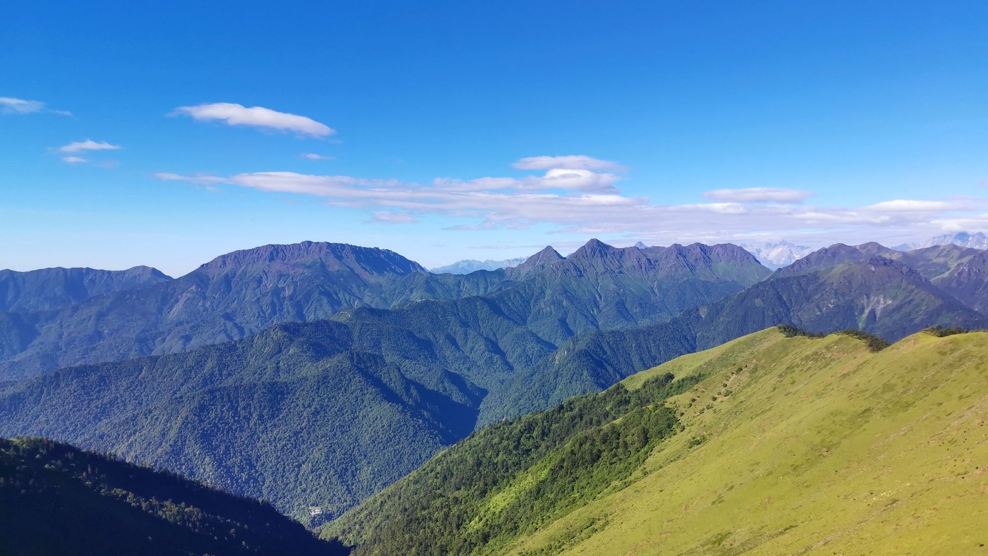 夹金山国家森林公园旅行图片 1