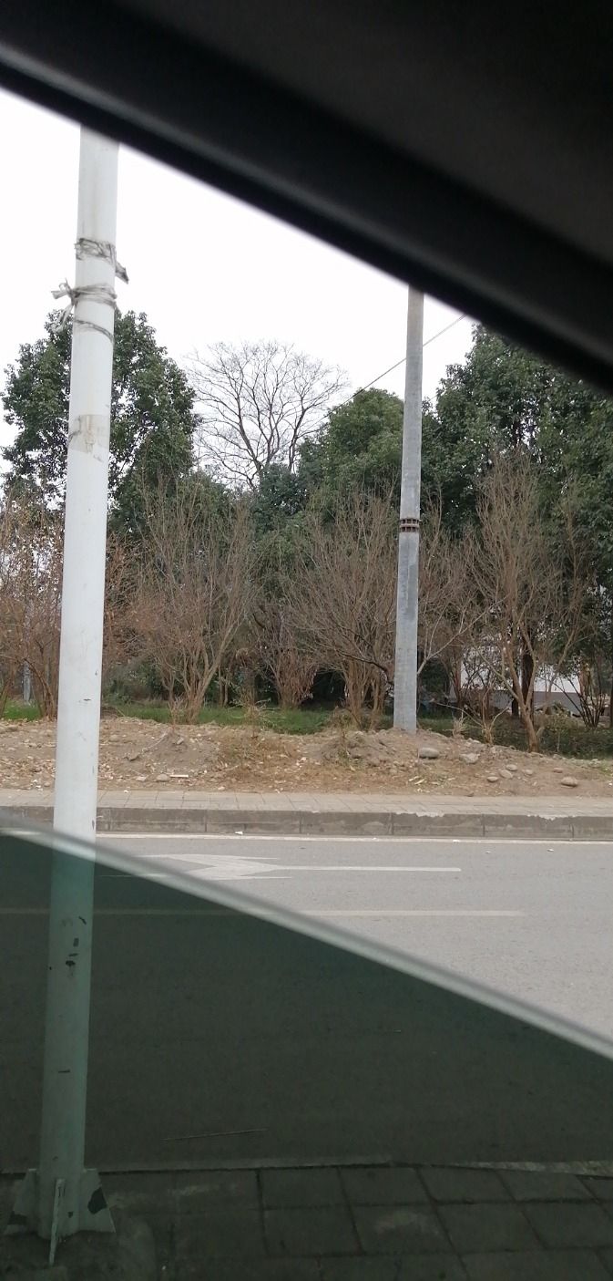 百丈湖旅行图片 3