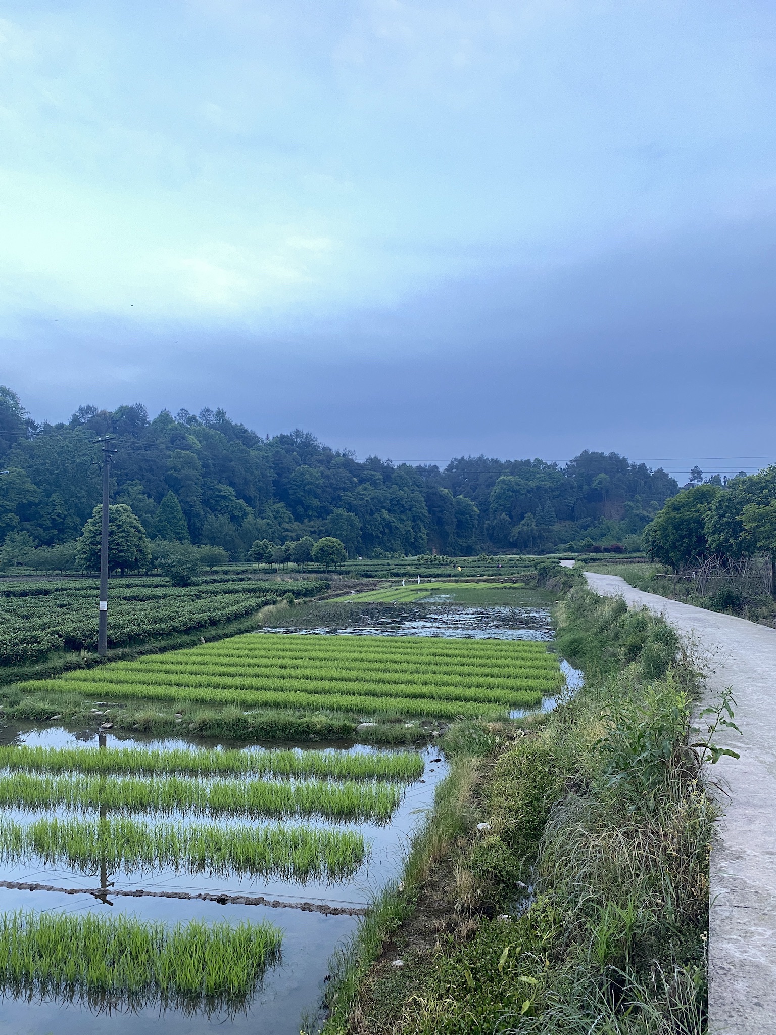百丈湖旅行图片 2