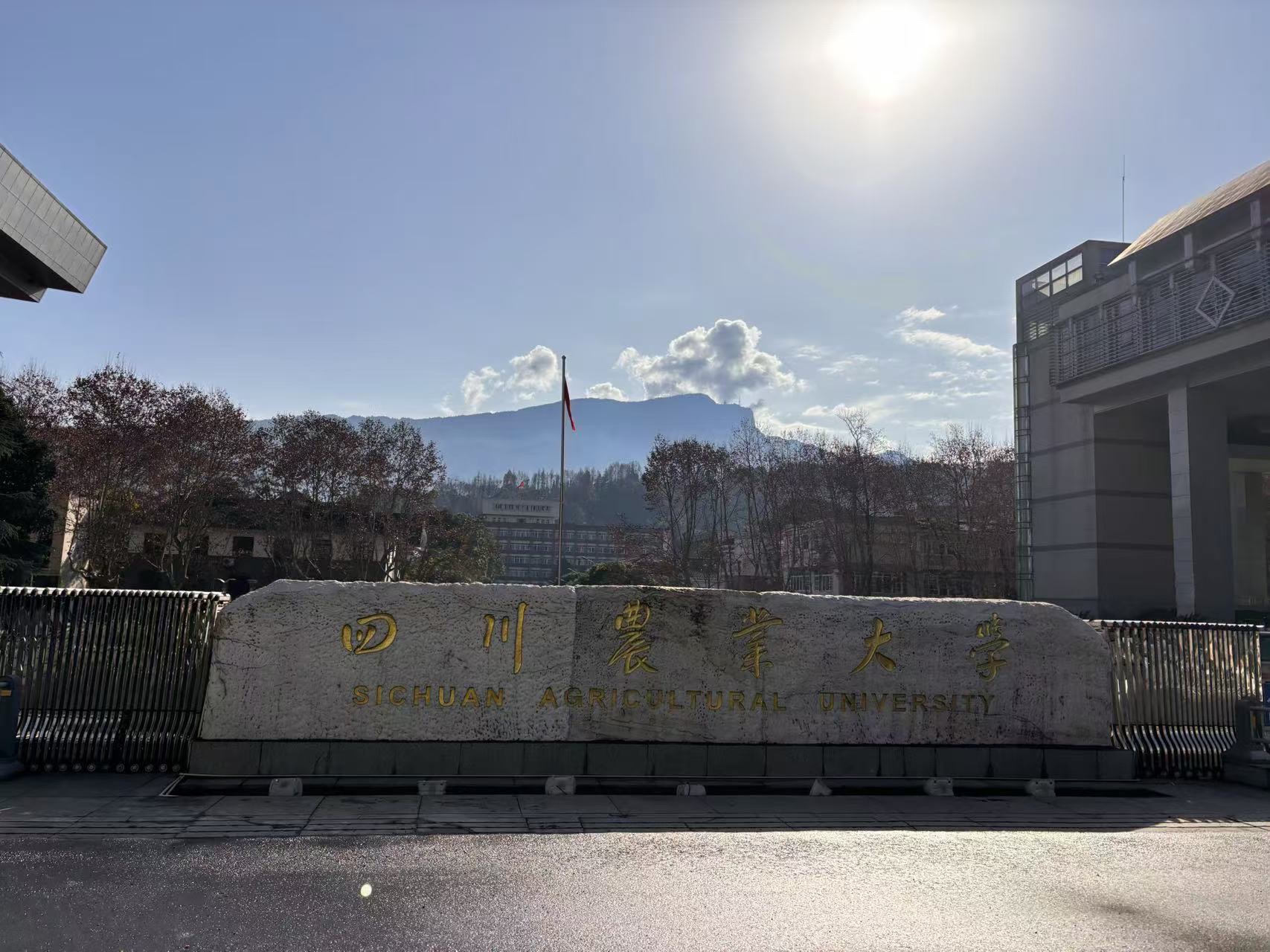 四川农业大学雅安校区