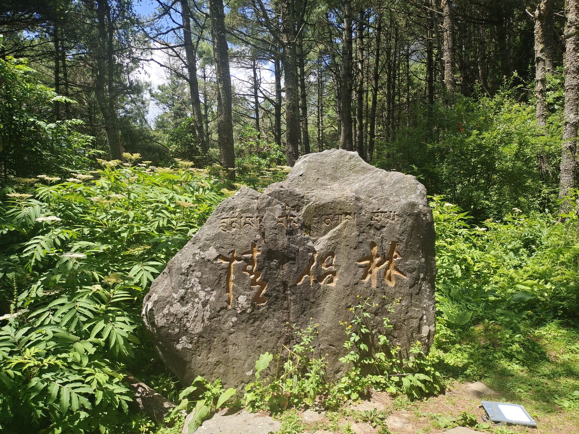 跑马山风景区旅行图片 2