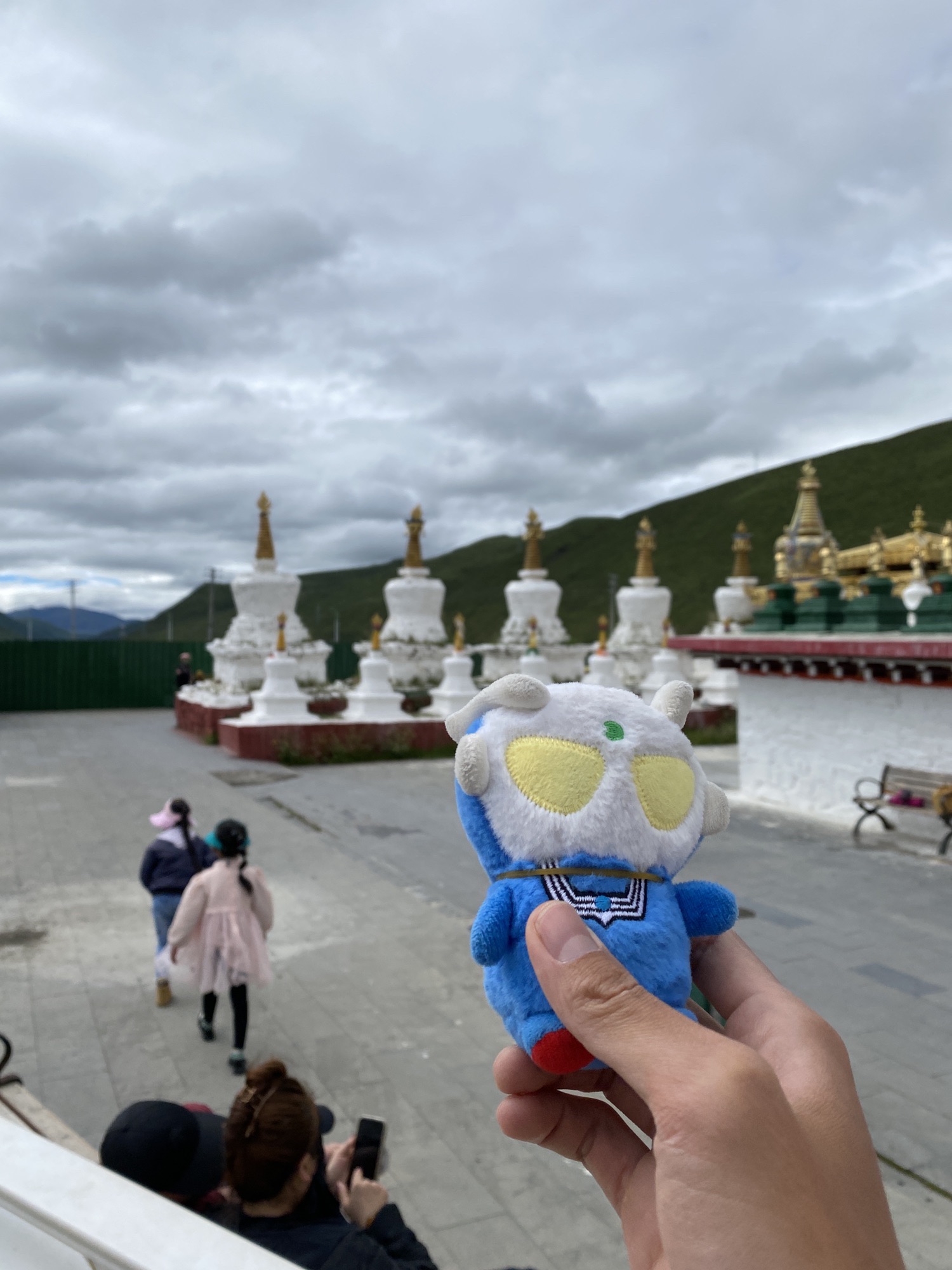 邓登曲登佛塔旅行图片 2
