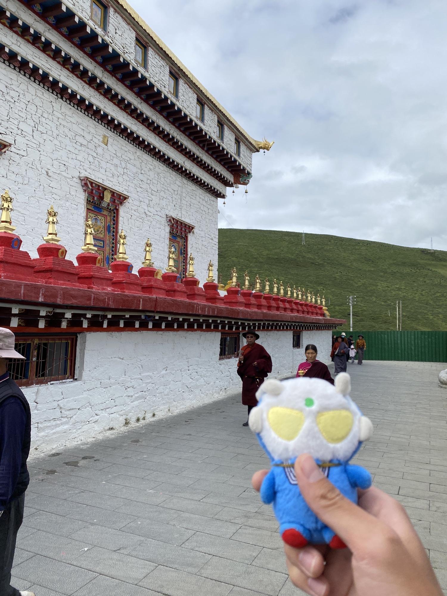 邓登曲登佛塔旅行图片 3