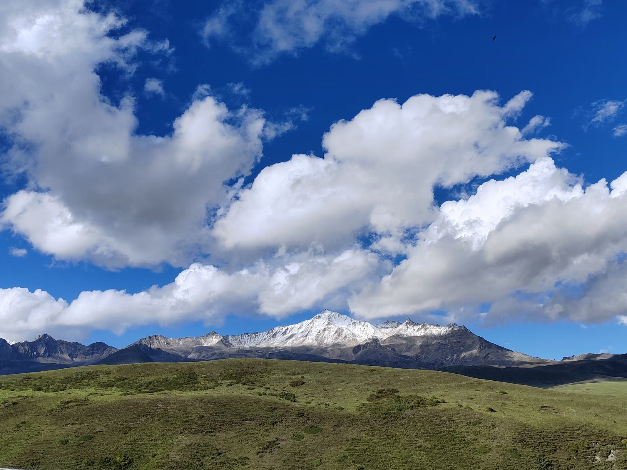 亚拉雪山景区旅行图片 1