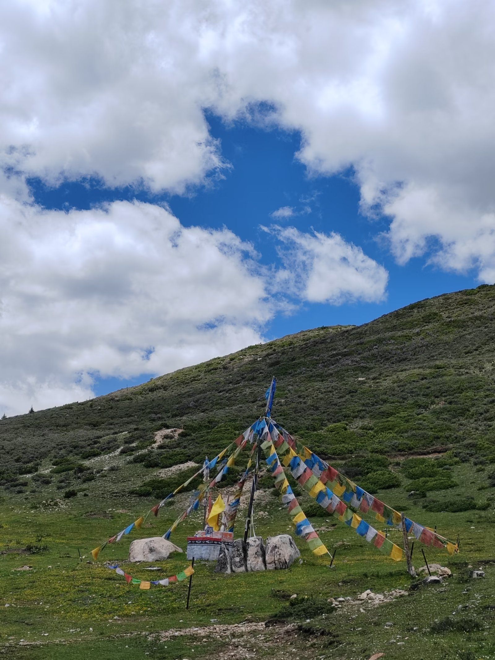 亚拉雪山景区旅行图片 2