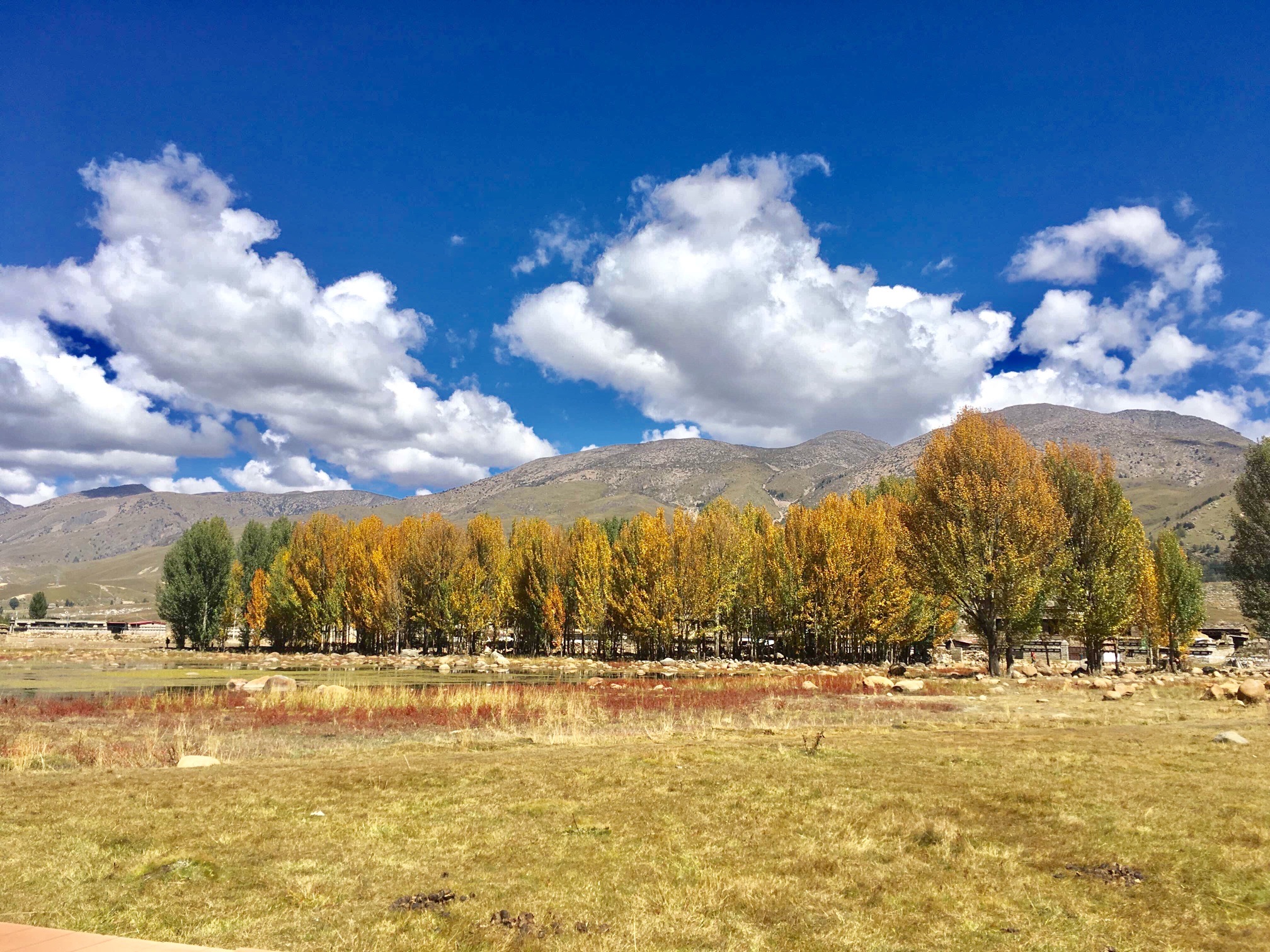 红草地旅行图片 3