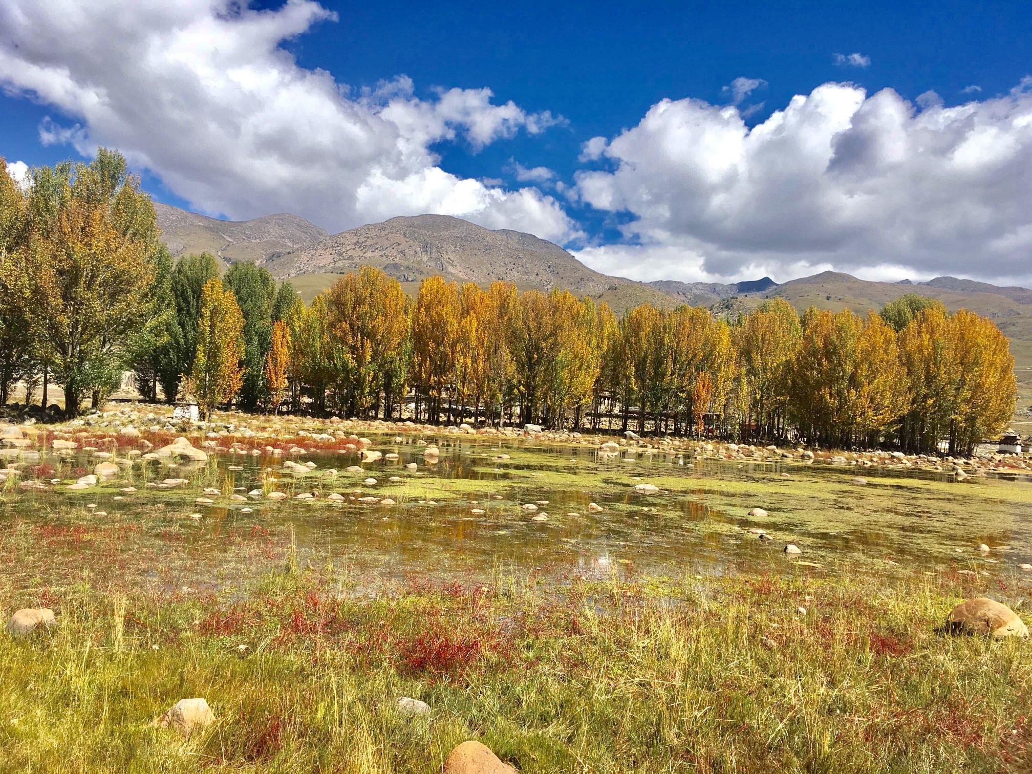 红草地旅行图片 2